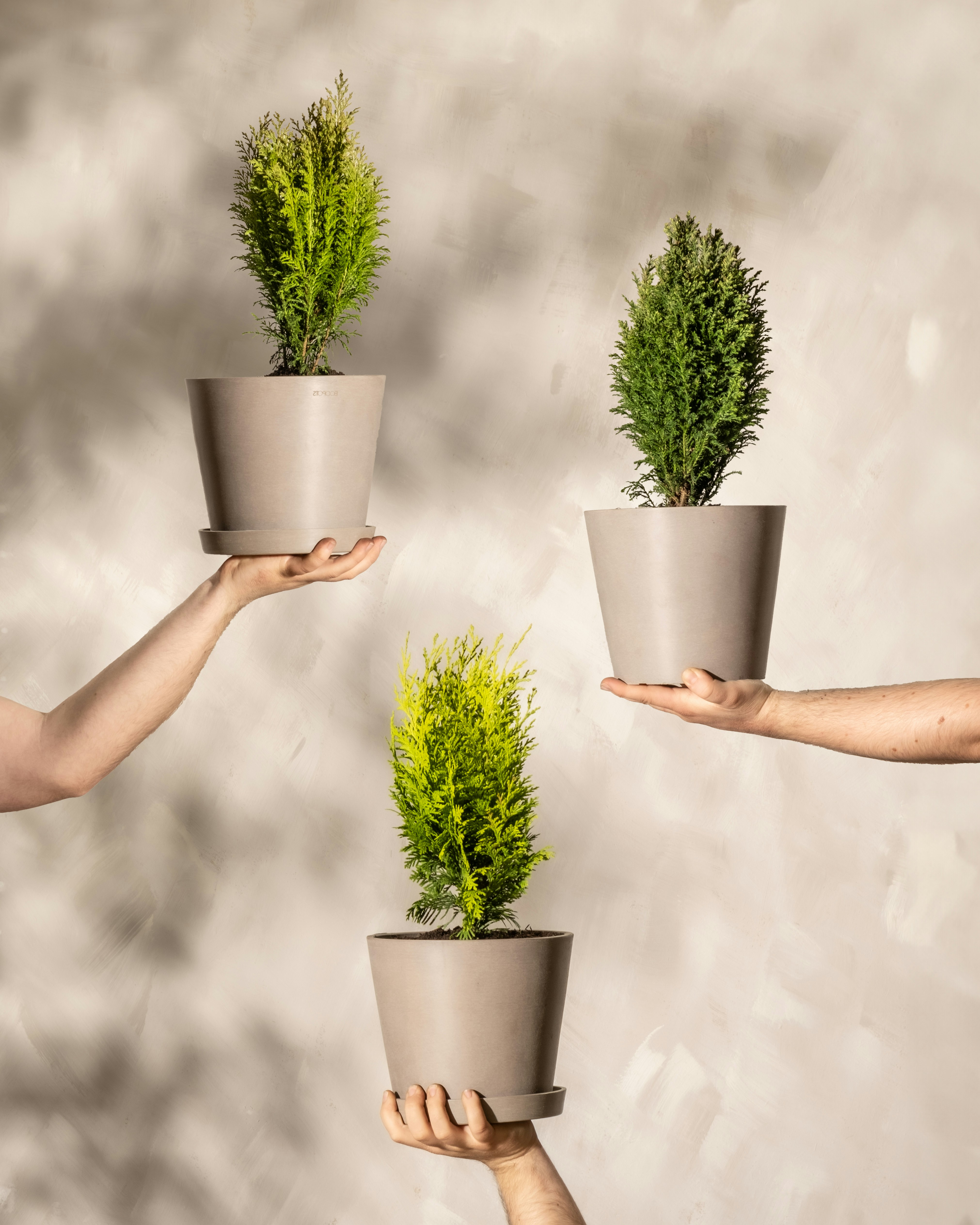 Photo by feeypflanzen