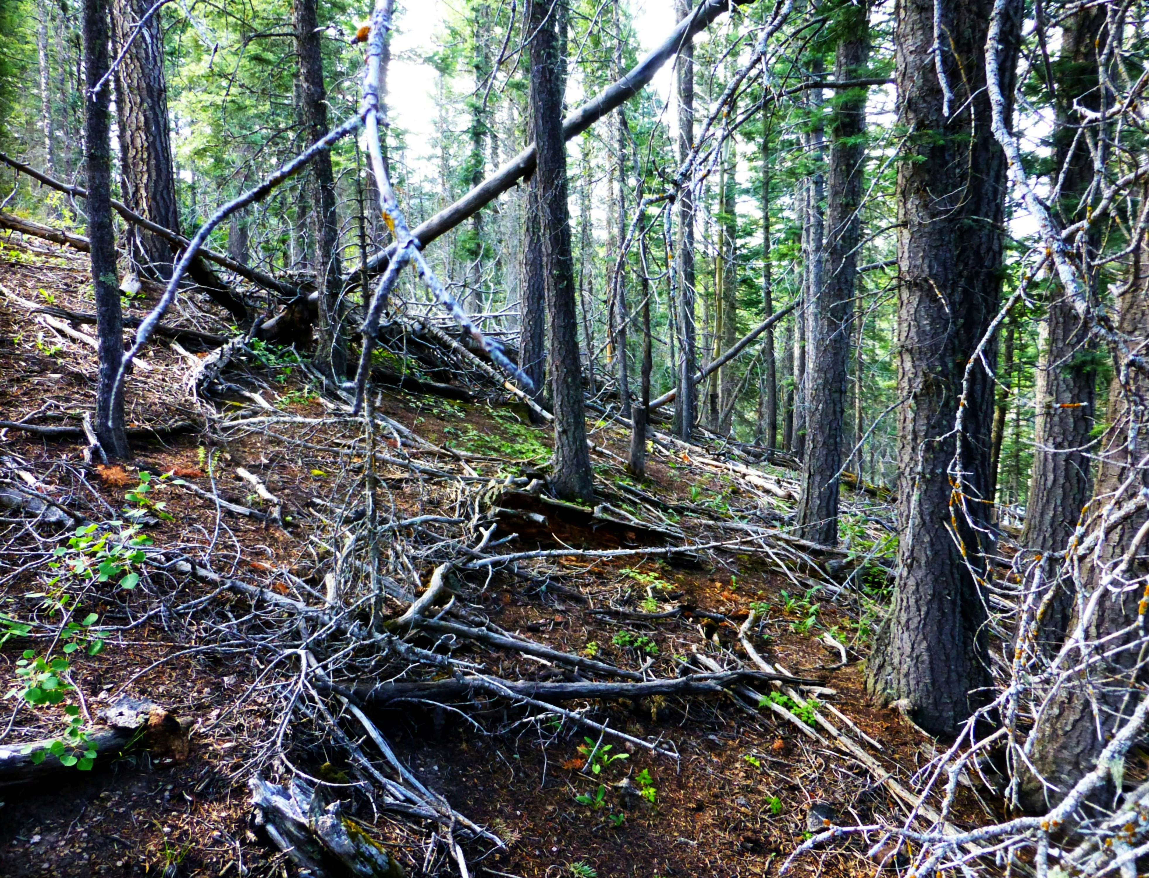 Photo by deniselynn_4