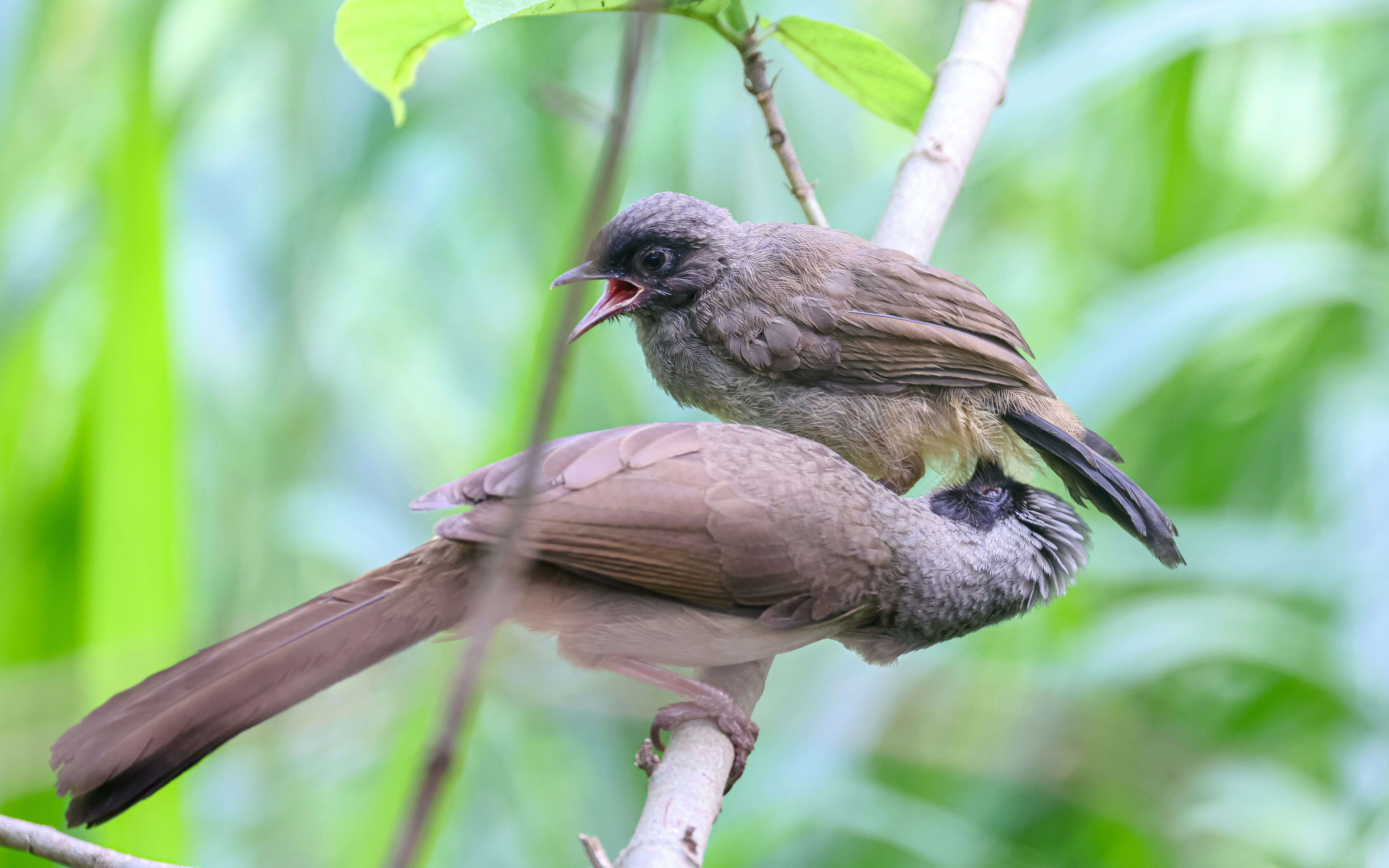 Photo by dickenslin76