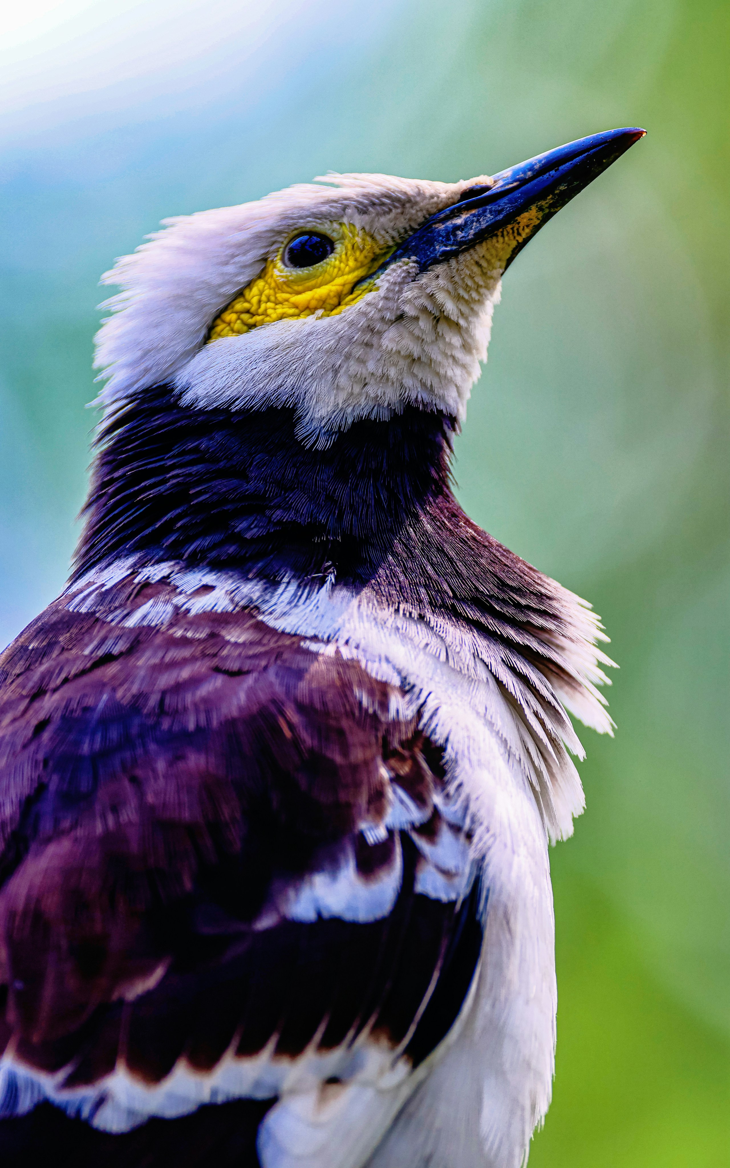 Photo by dickenslin76