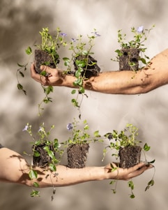 a group of people holding plants in their hands