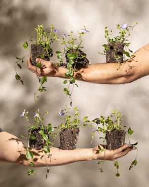a group of people holding plants in their hands