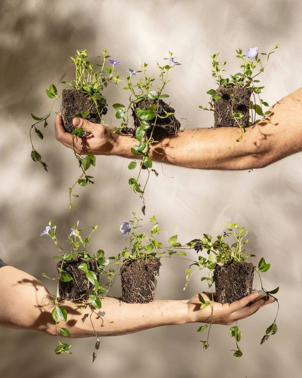 a group of people holding plants in their hands