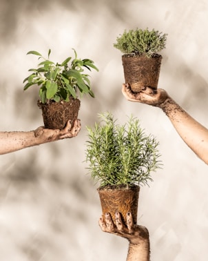 a group of people holding plants in their hands
