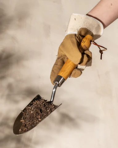 a person holding a shovel with dirt on it
