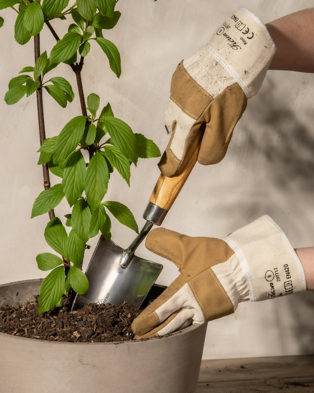 a person with gloves and gardening gloves is digging into a potted plant
