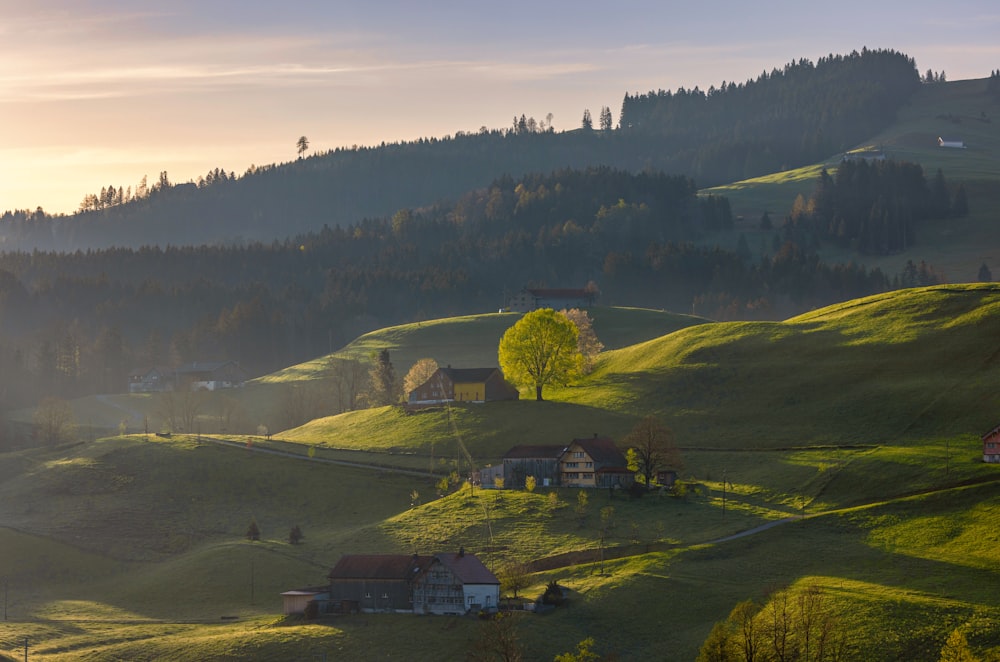 a green hillside with houses and trees in the distance