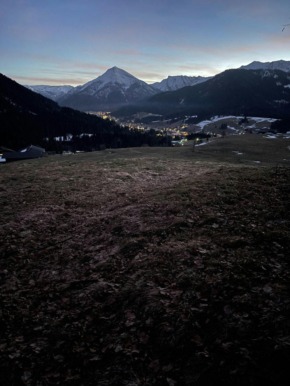 a grassy field with mountains in the background