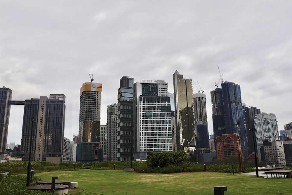 a grassy area in front of a city skyline