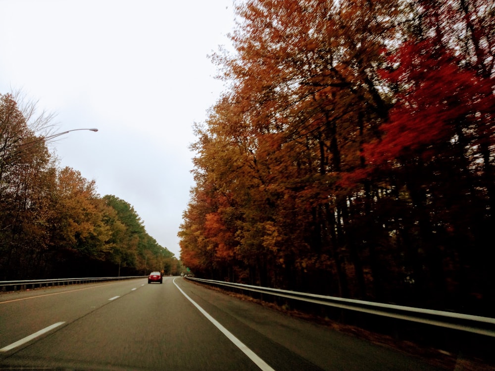 a car driving down a road surrounded by trees