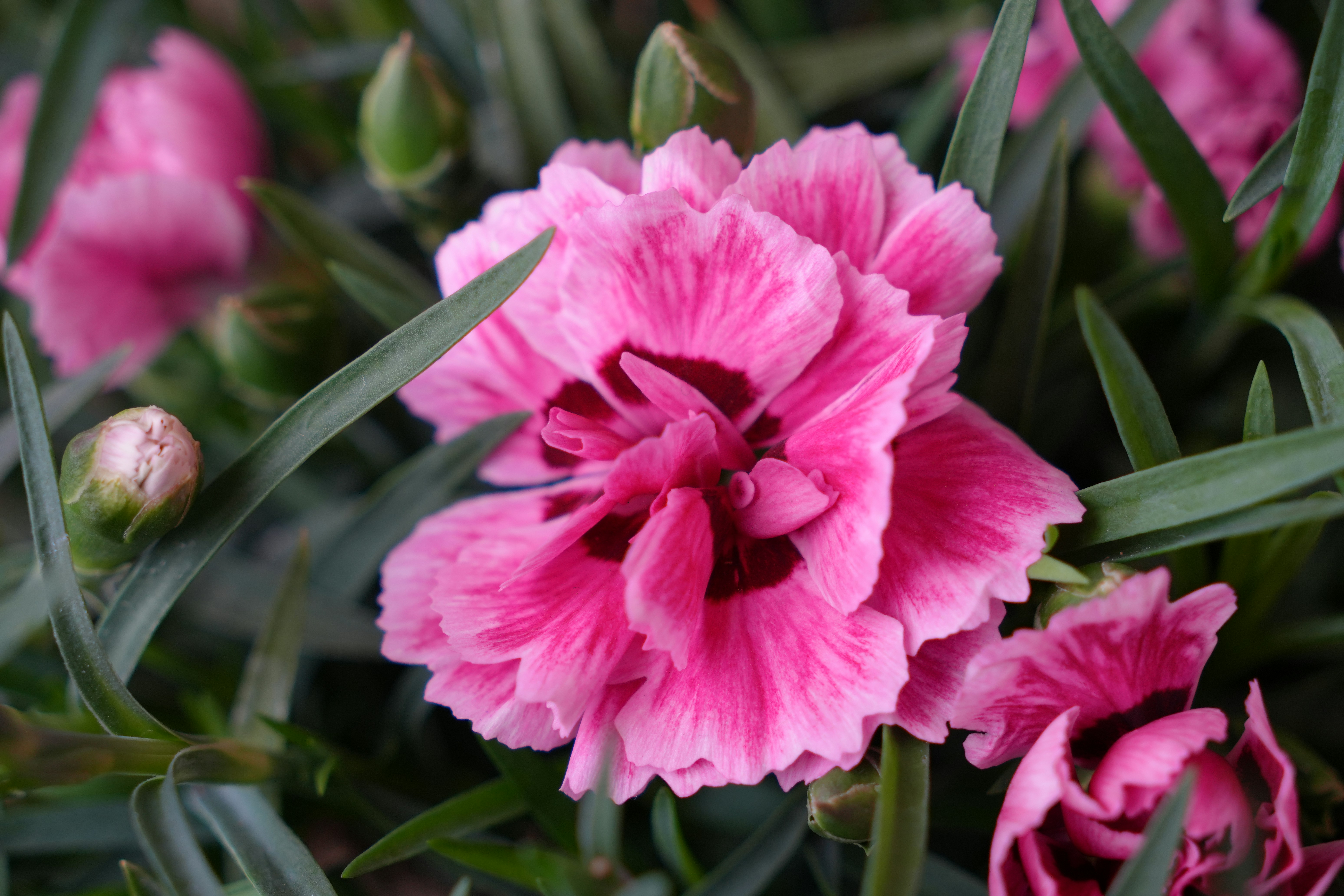 Photo by dm8ryphotos