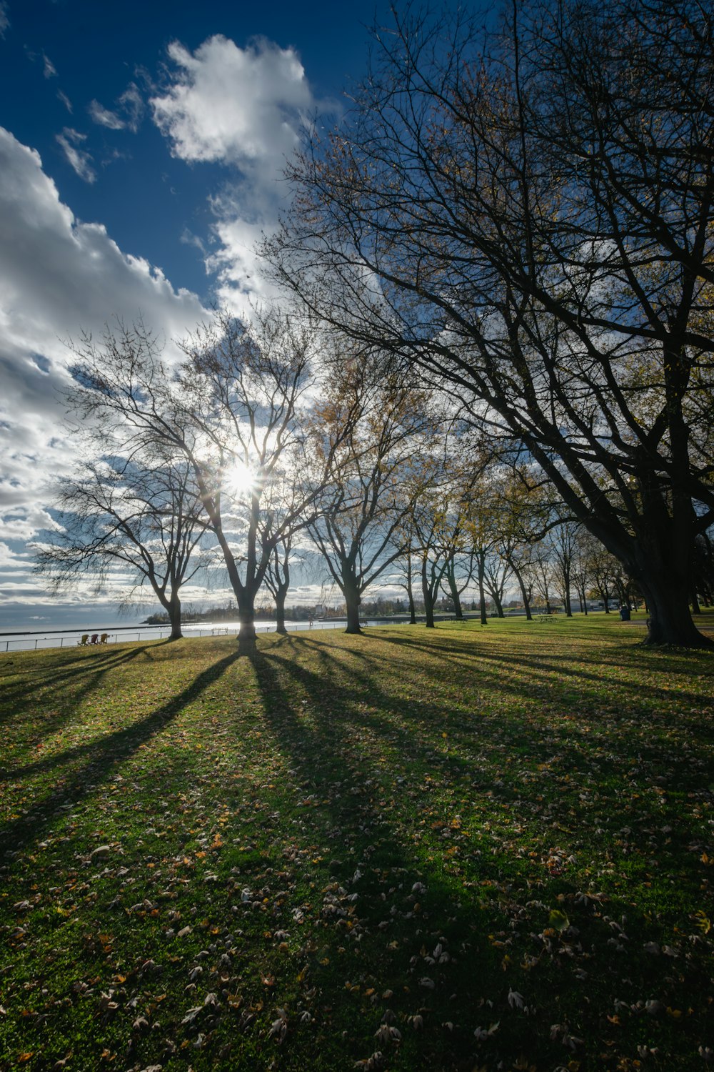 the sun is shining through the trees in the park