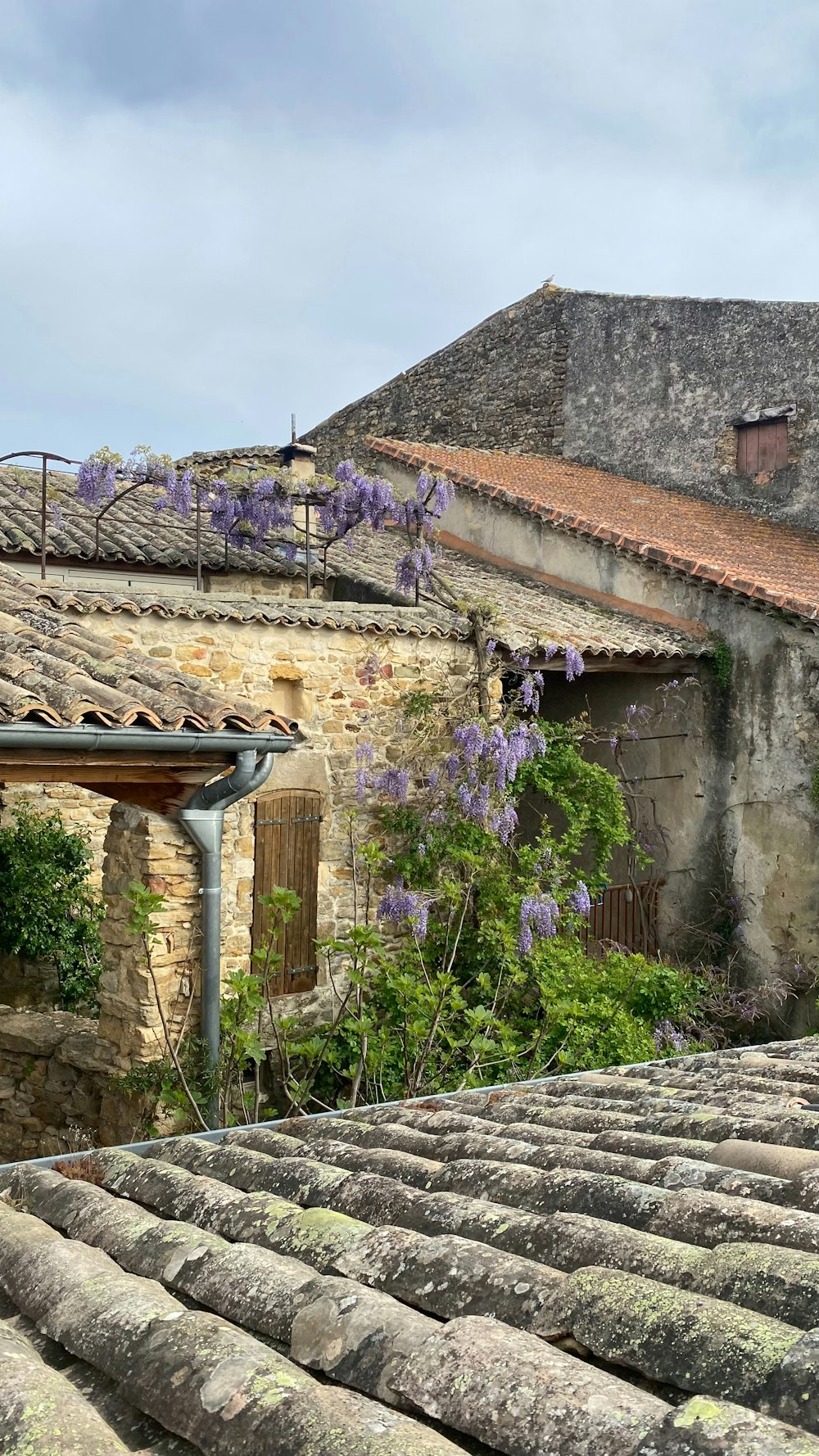 un edificio in pietra con un mazzo di fiori viola che cresce su di esso