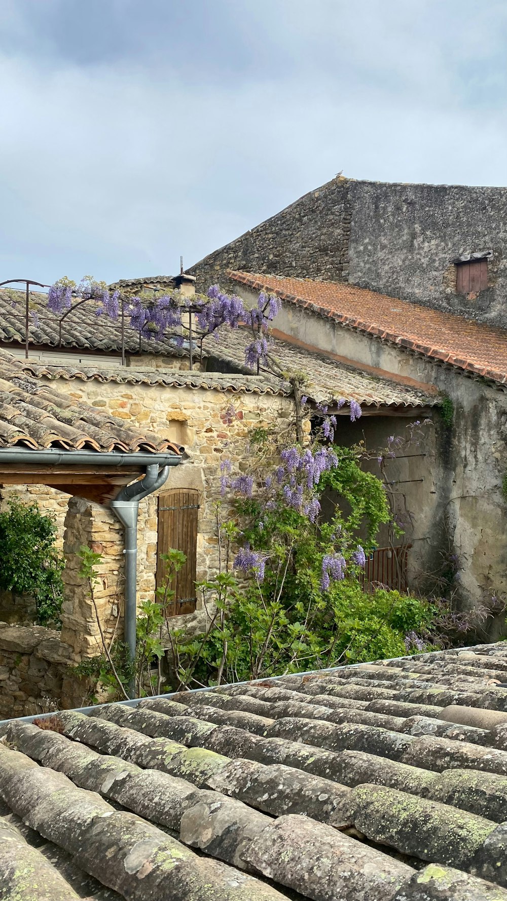 un edificio de piedra con un ramo de flores moradas que crecen en él