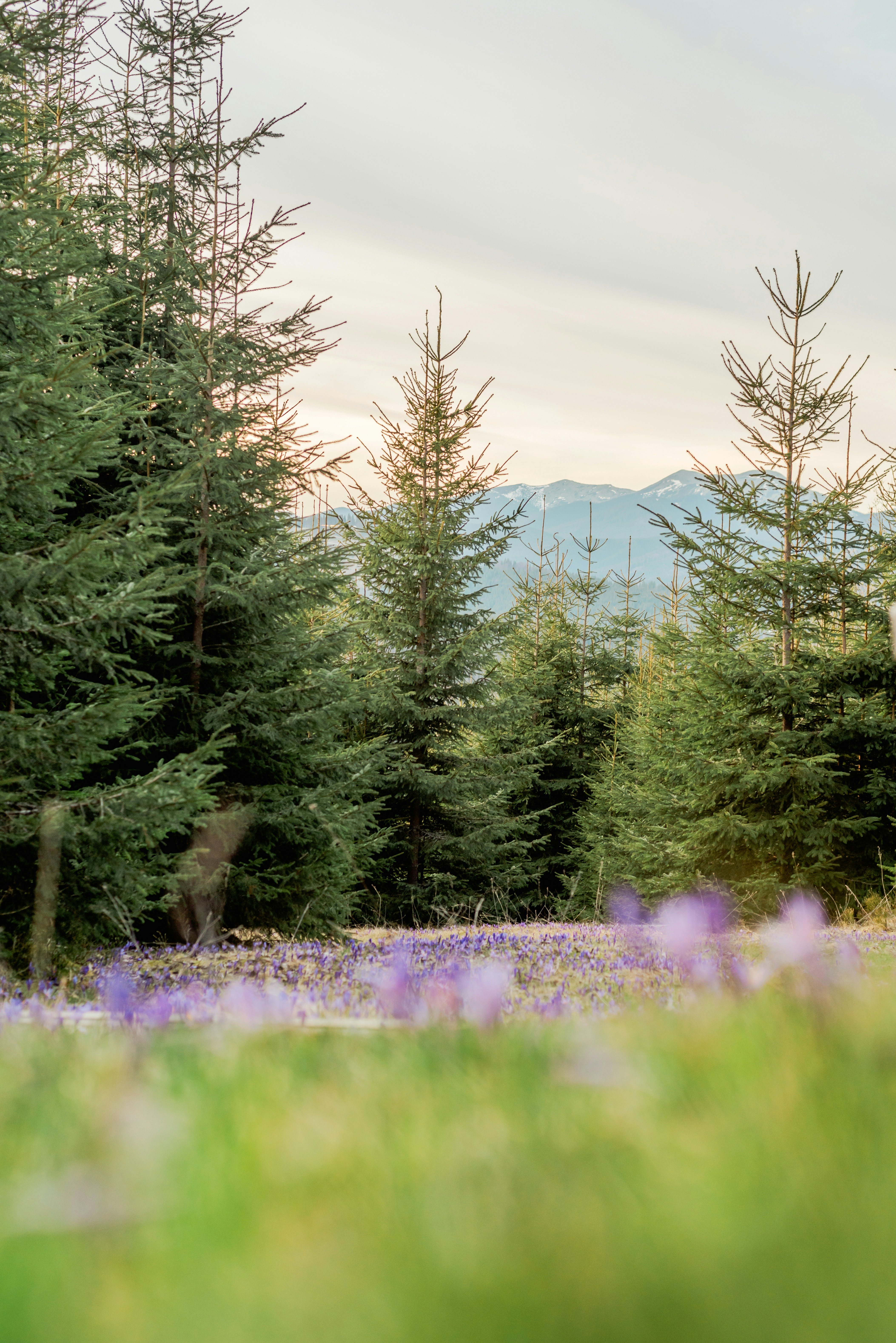 Photo by eugenivy_now