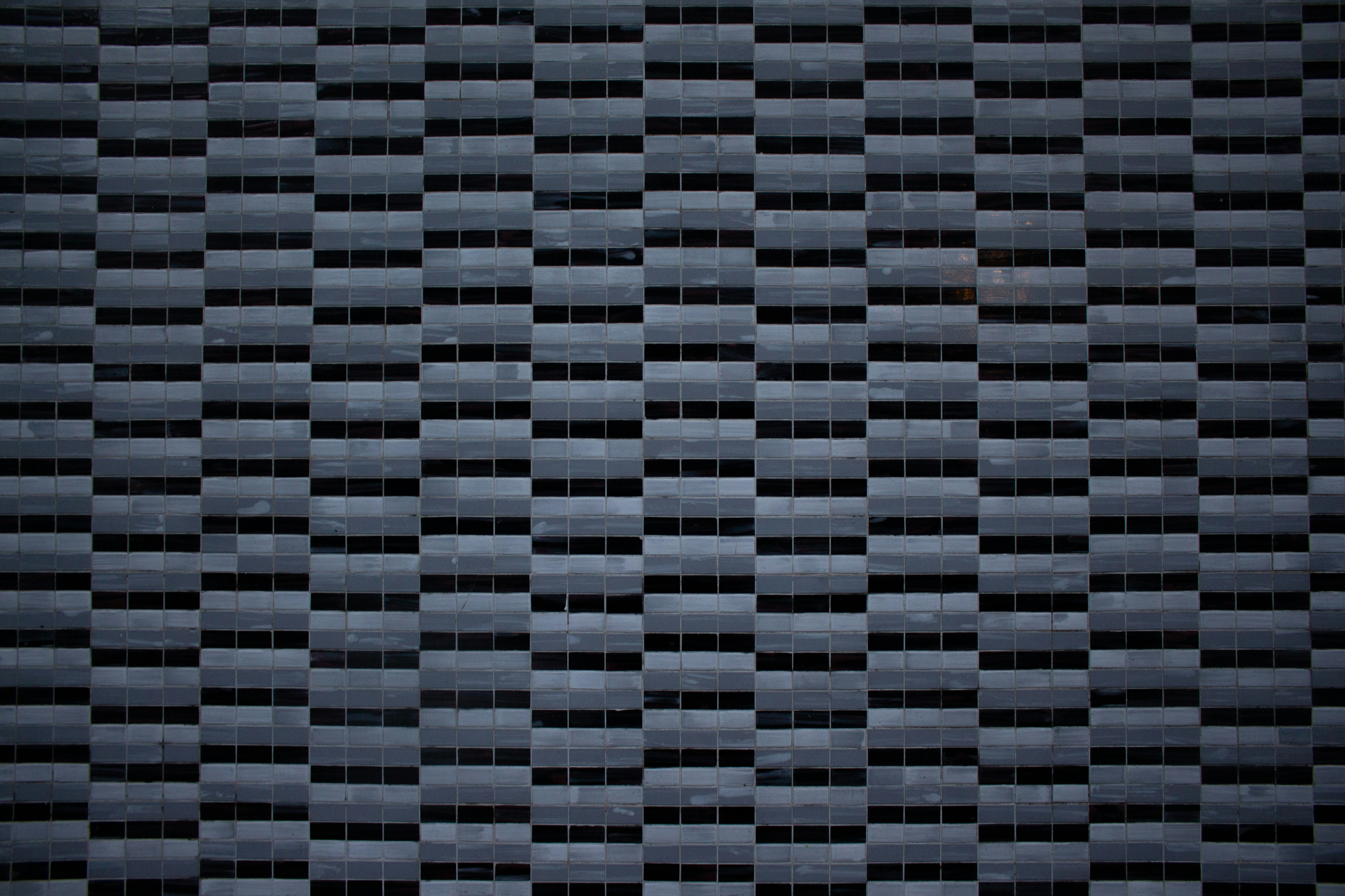 Photo by melloophotography