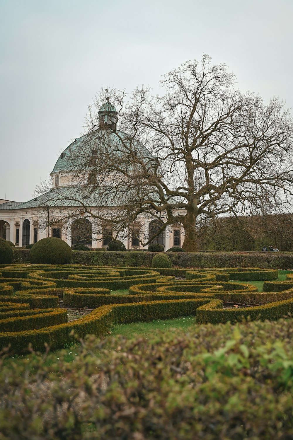 a large building with a large tree in the middle of it