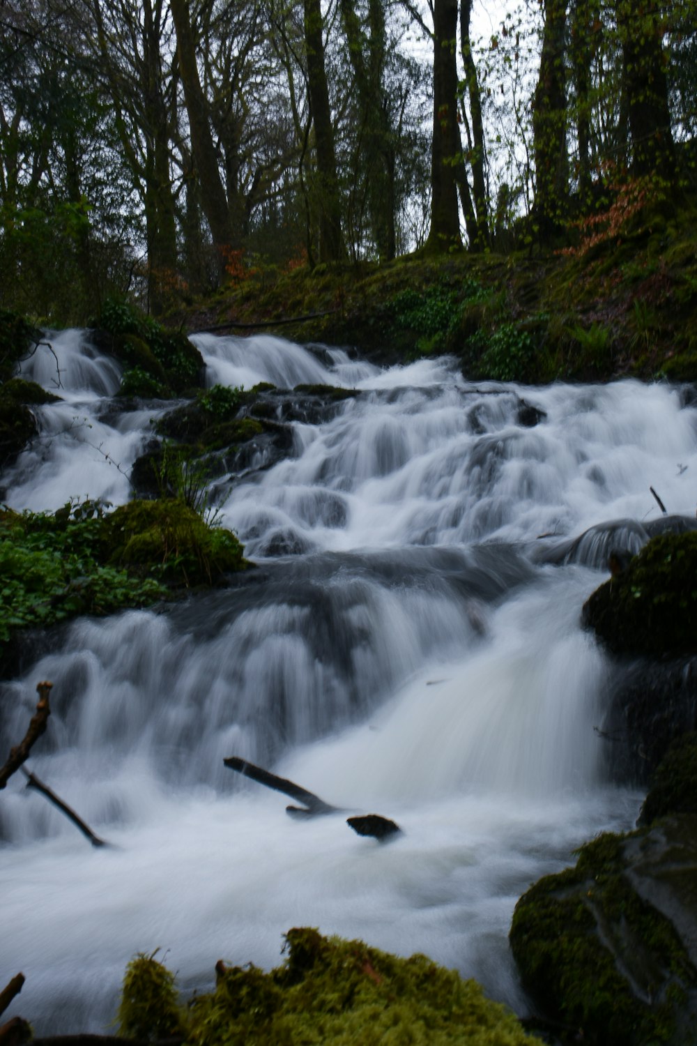 a small waterfall in the middle of a forest