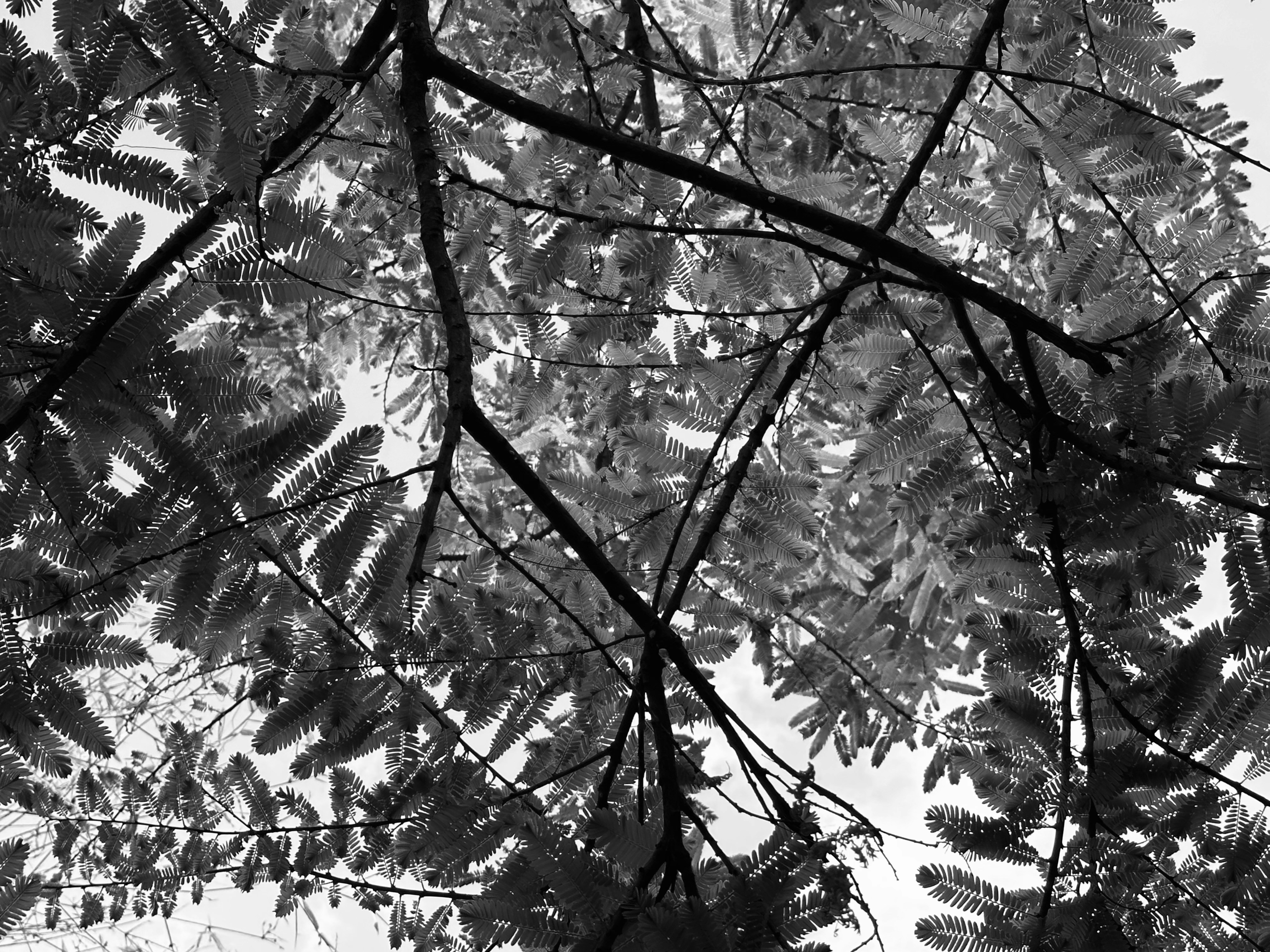 Photo by neelakshi_singh_