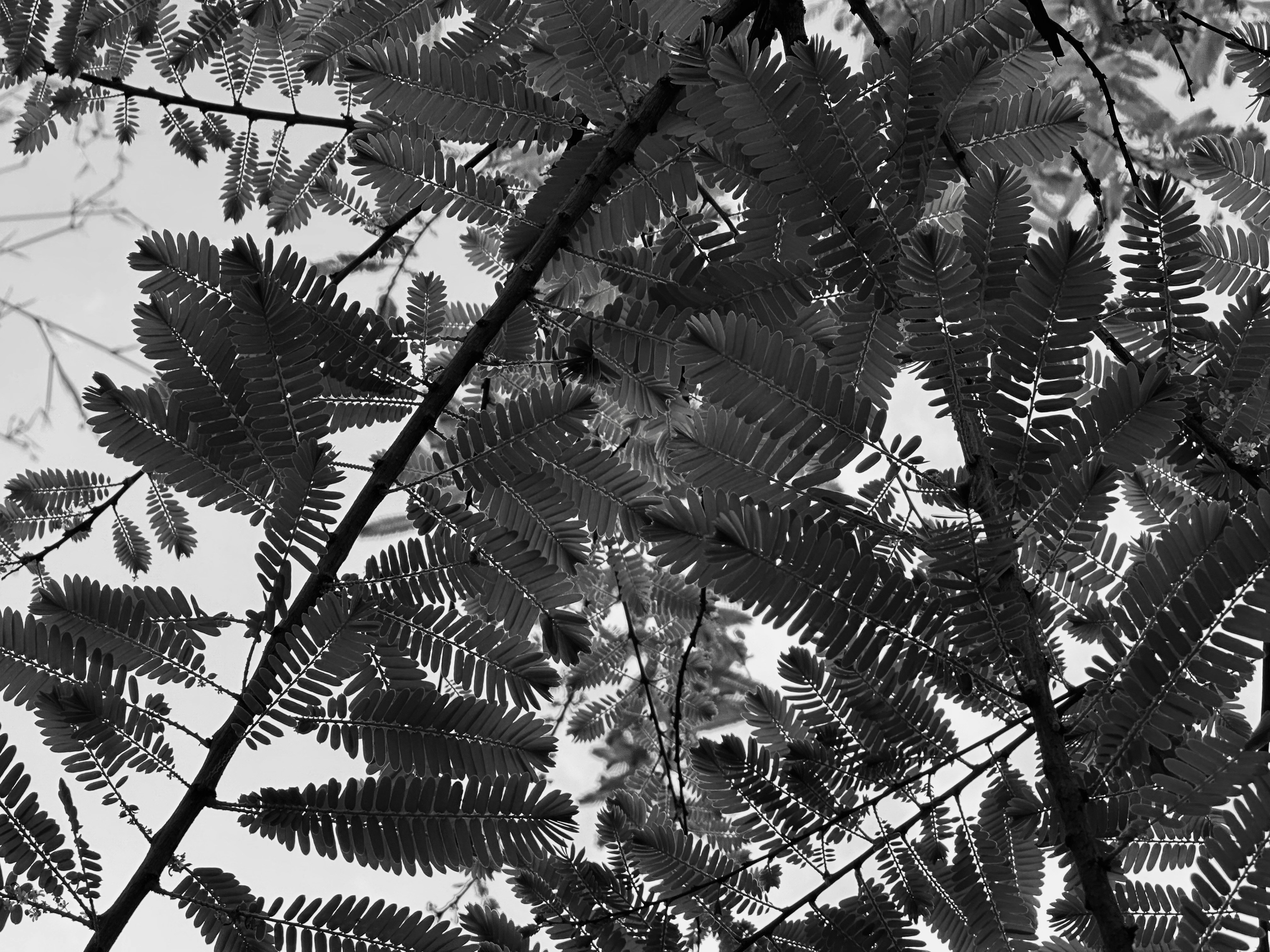 Photo by neelakshi_singh_