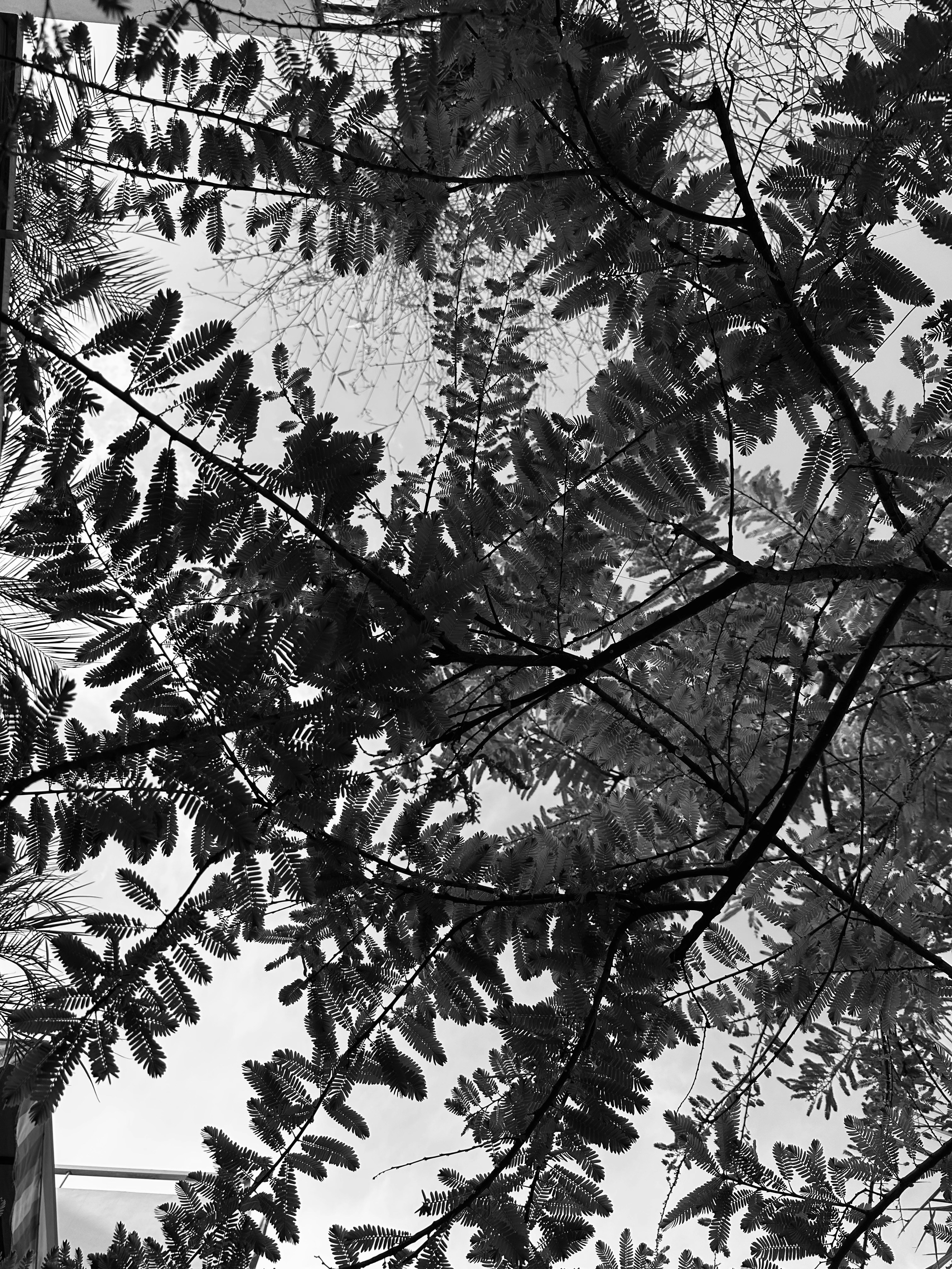 Photo by neelakshi_singh_