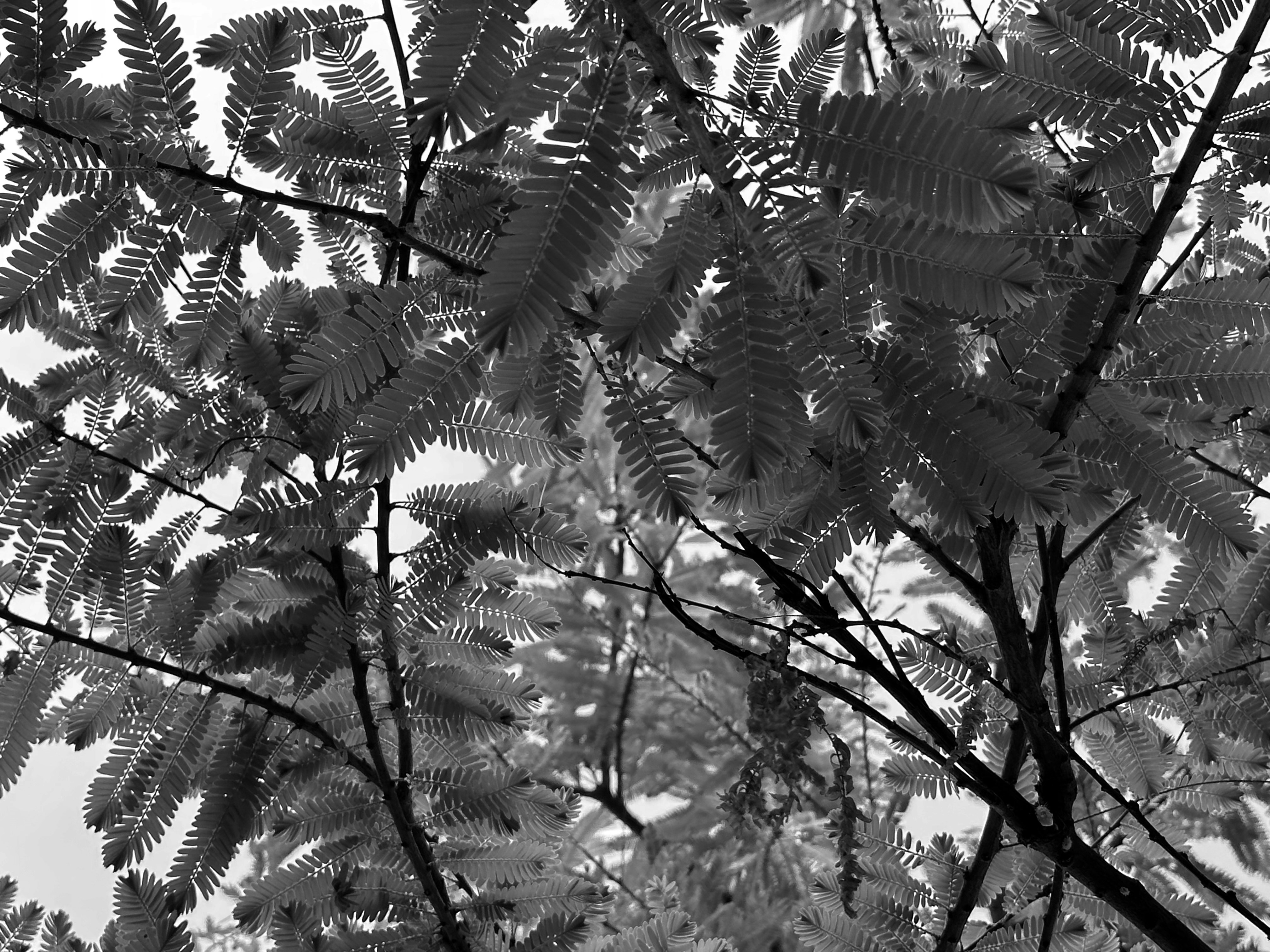 Photo by neelakshi_singh_