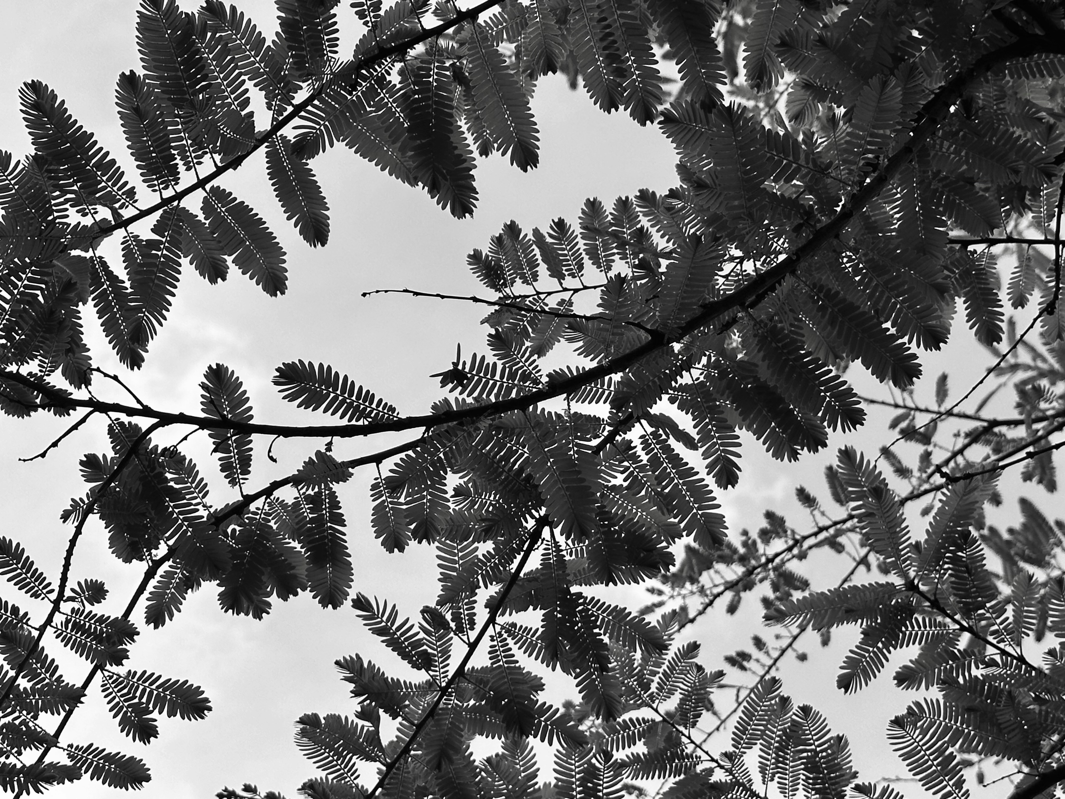 Photo by neelakshi_singh_