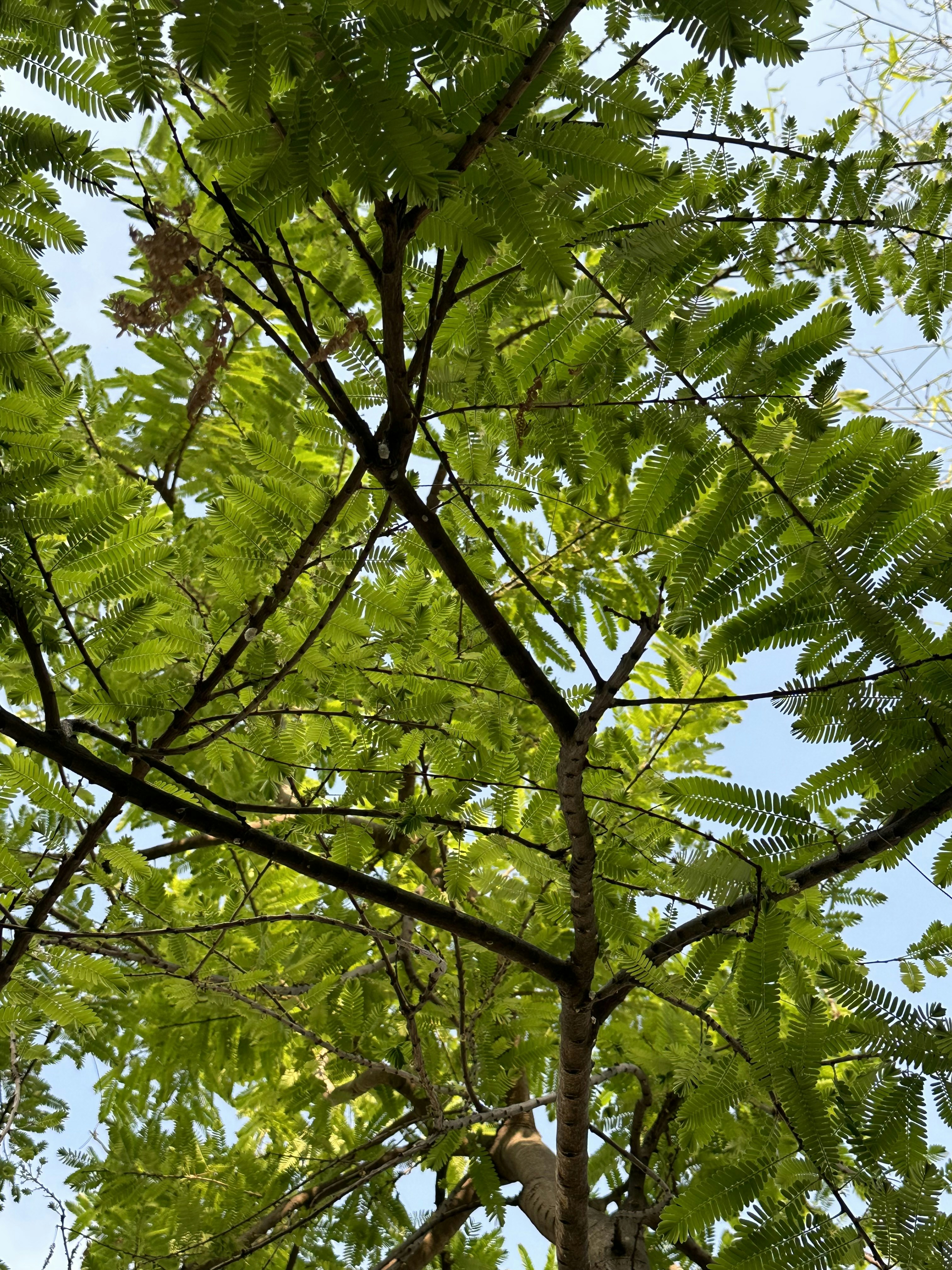 Photo by neelakshi_singh_