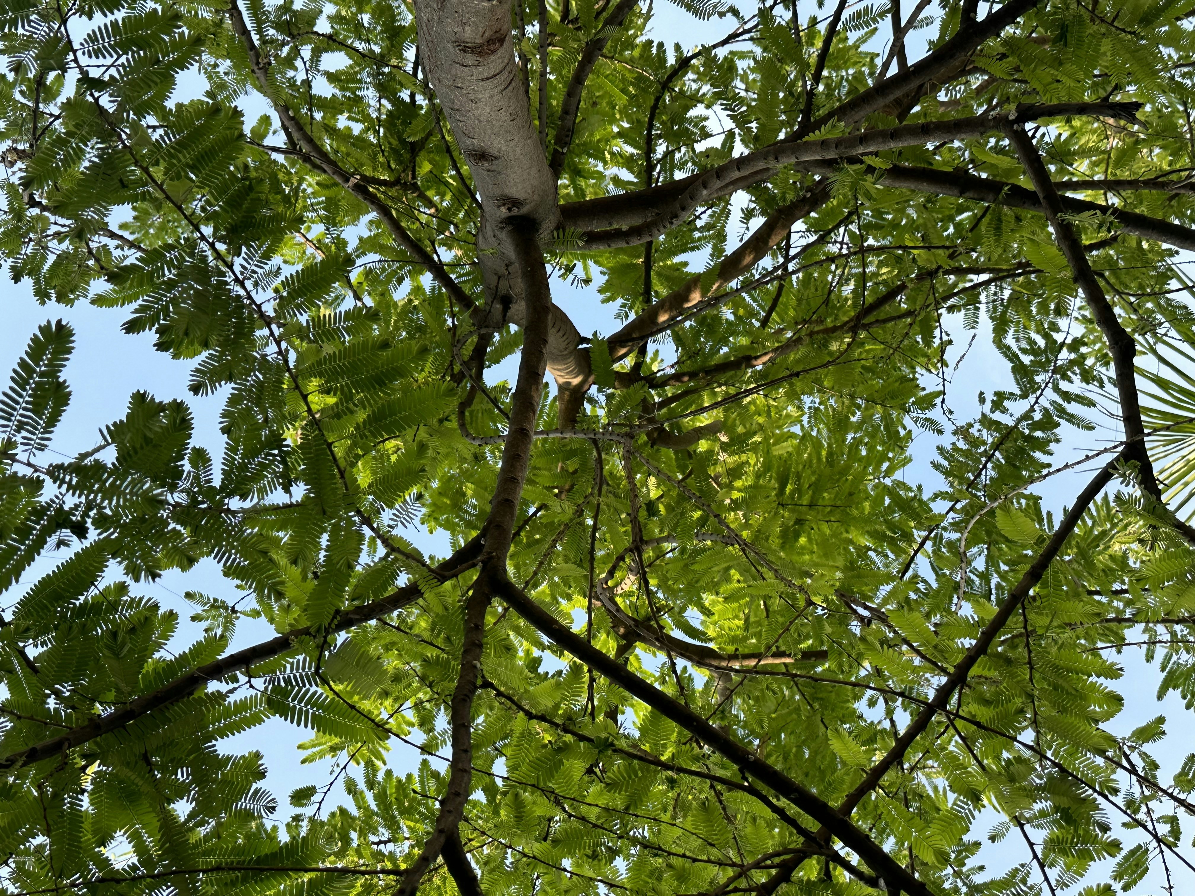 Photo by neelakshi_singh_