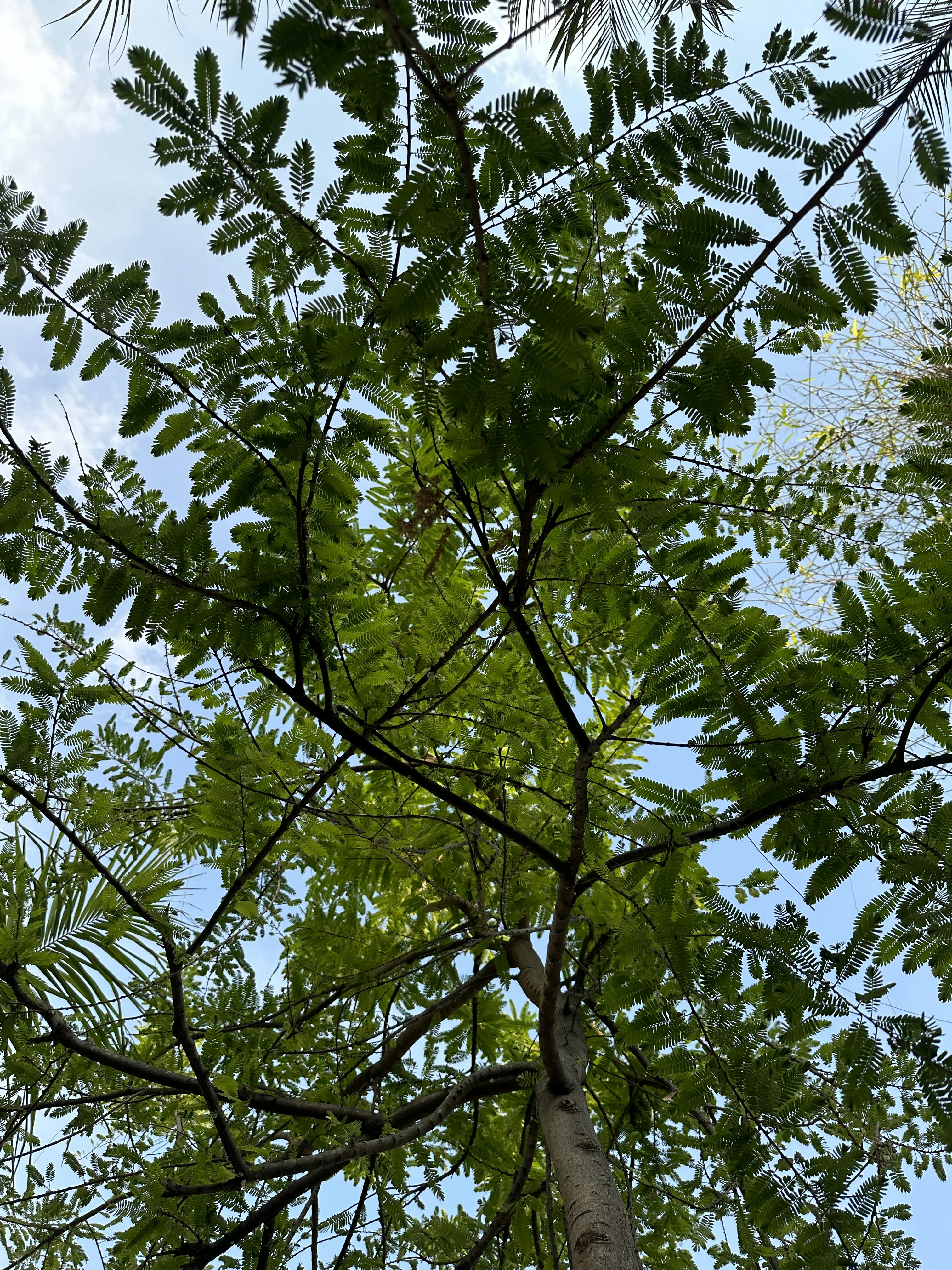 Photo by neelakshi_singh_