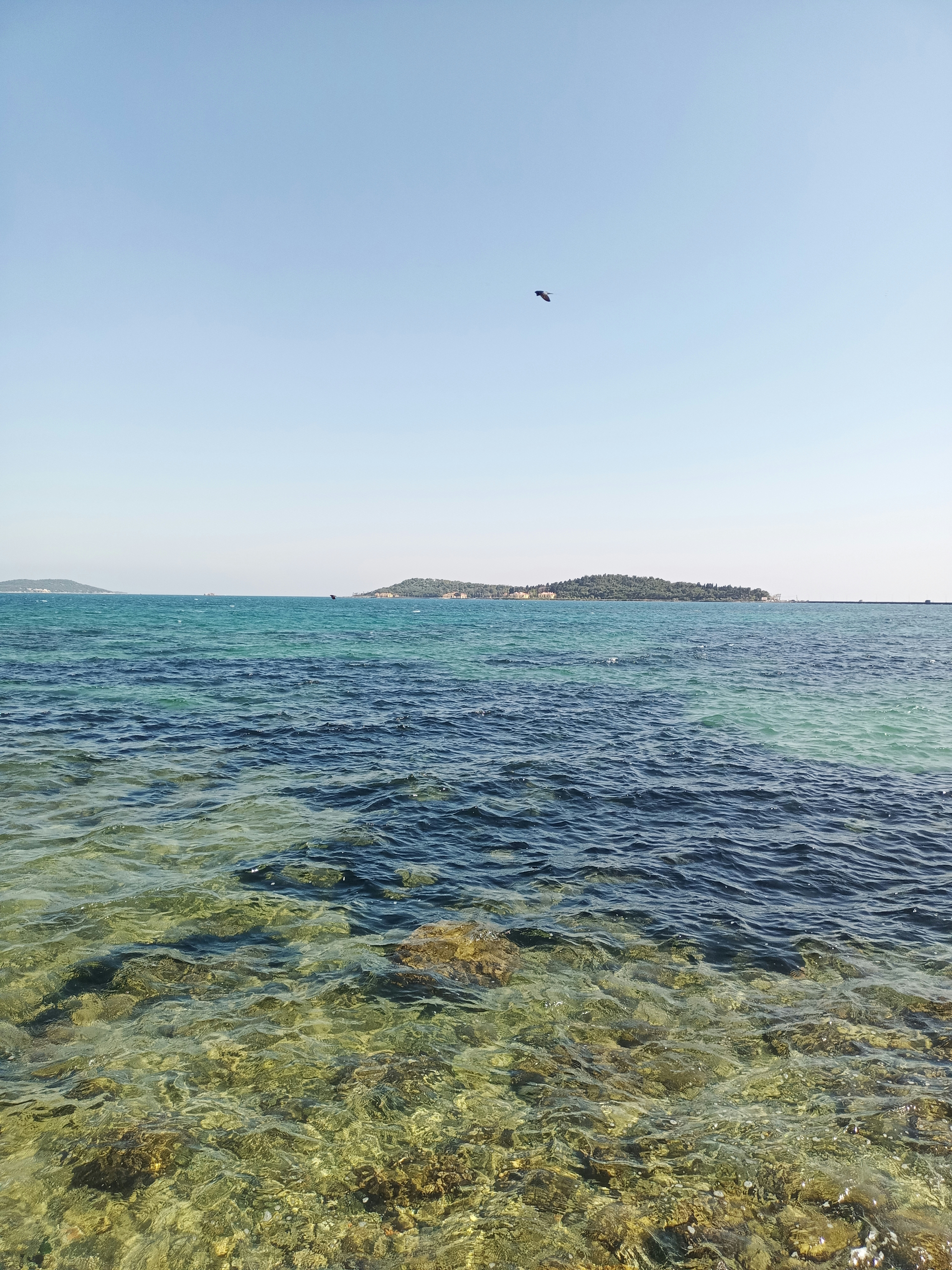 Photo by selendogasipal