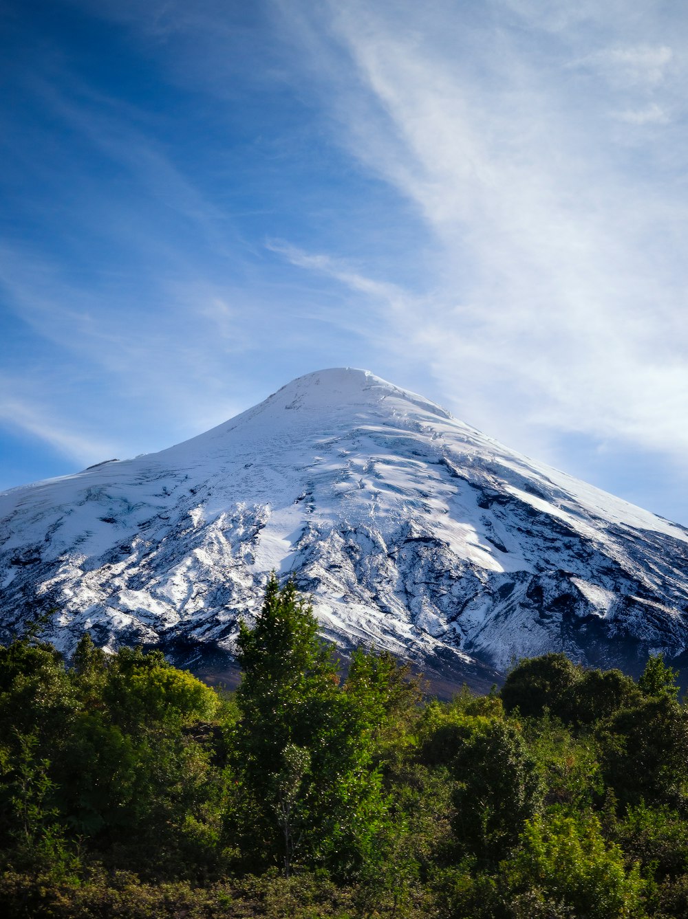 a large snow covered mountain towering over a forest