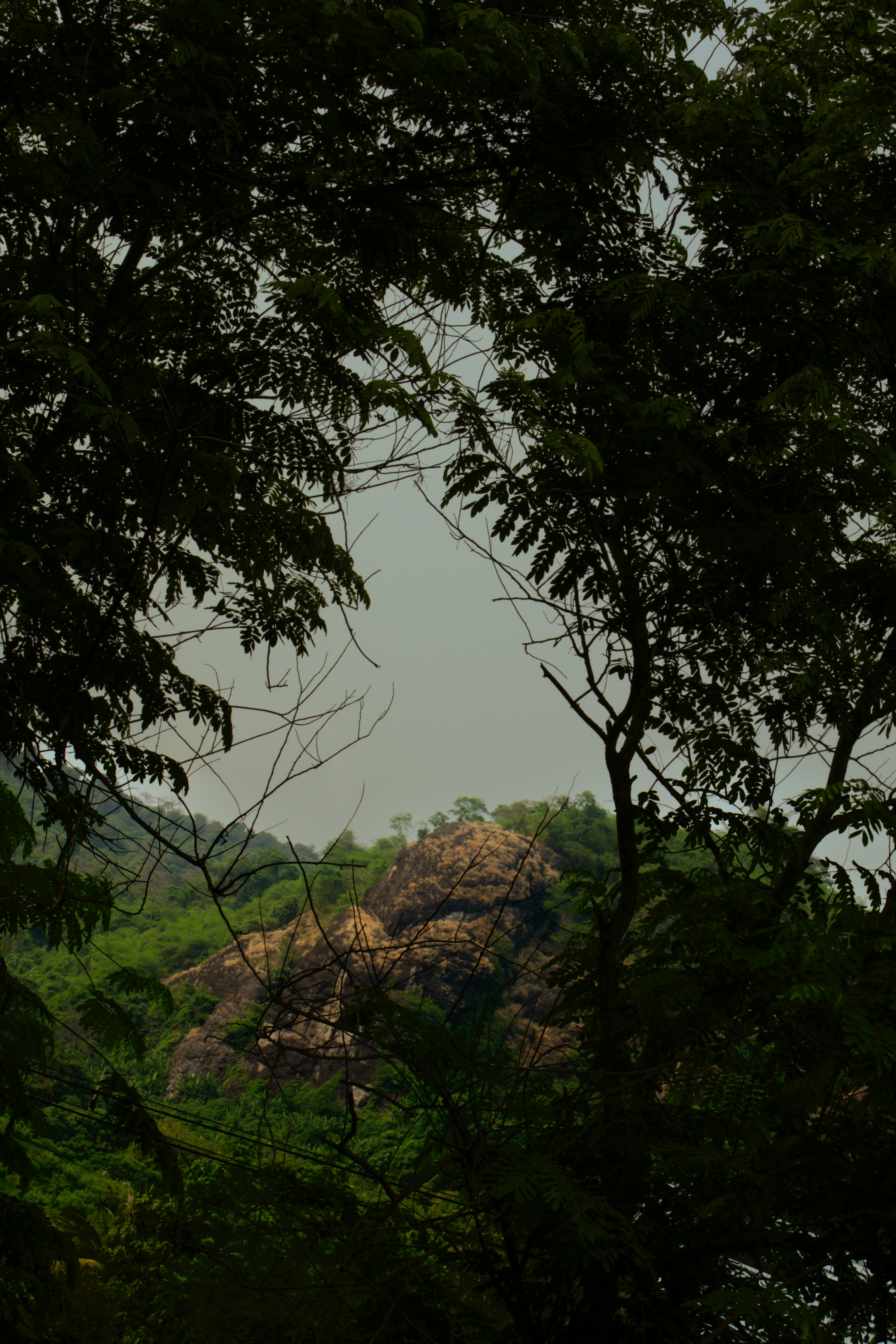 Photo by horseratbros