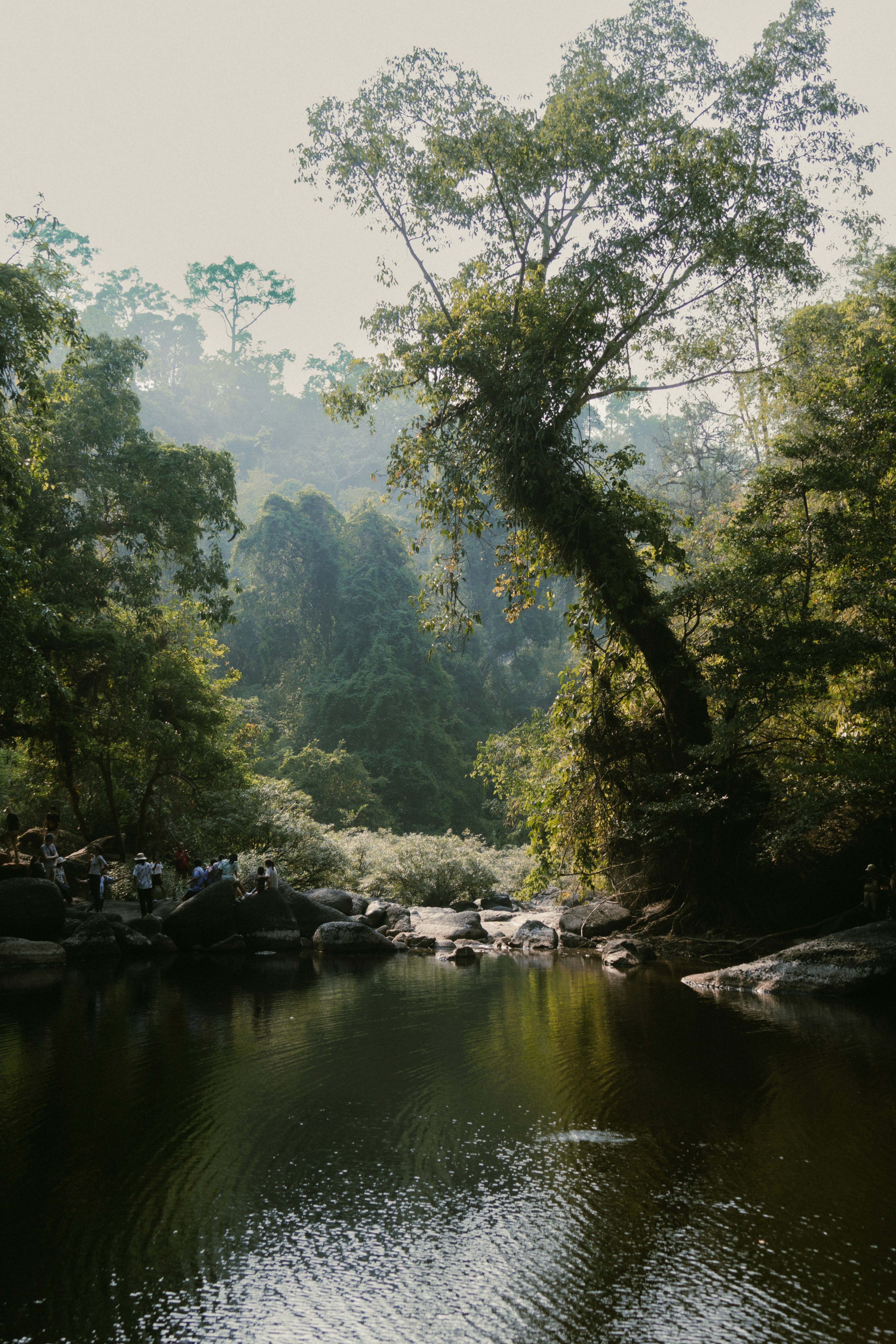 Photo by horseratbros