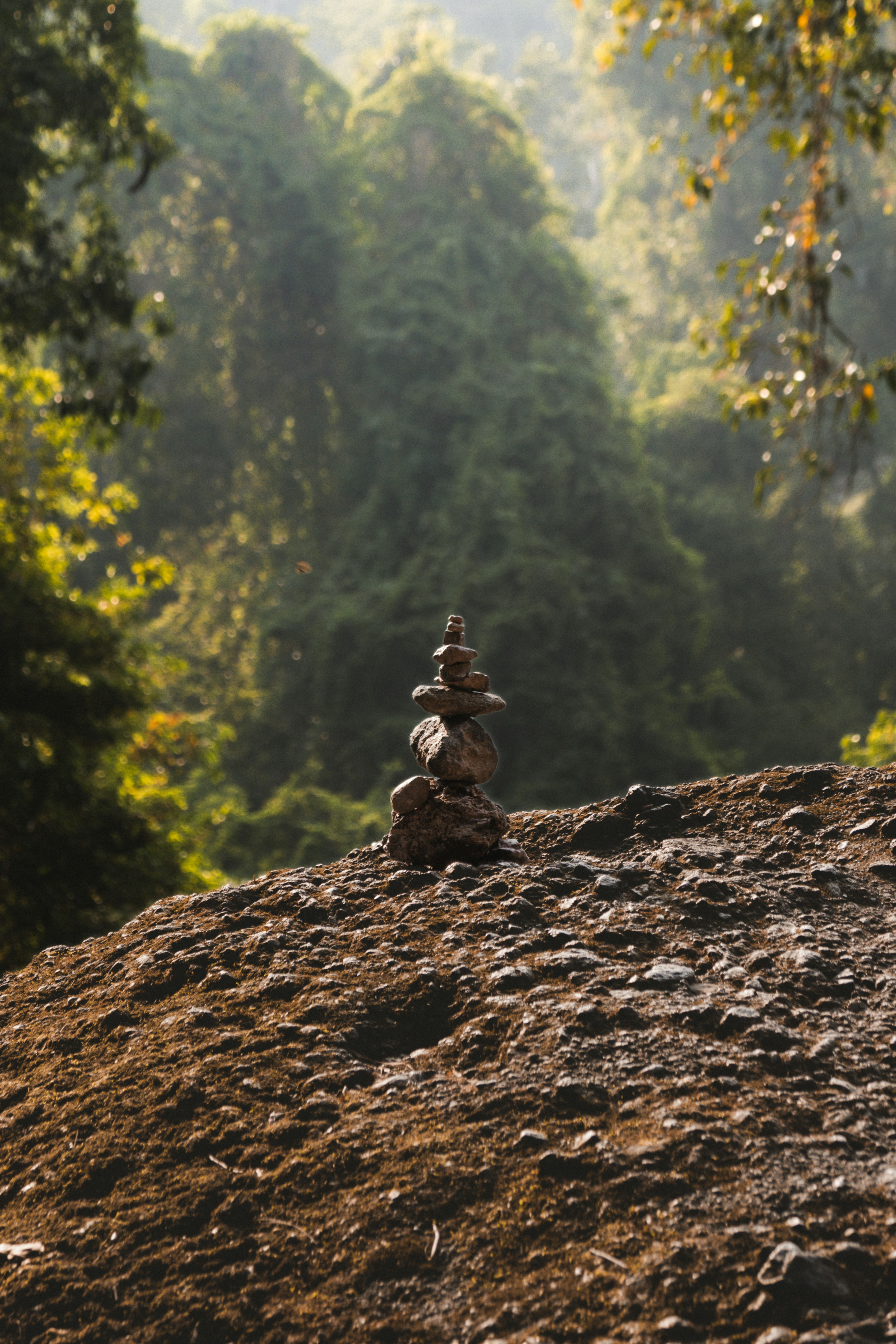 Photo by horseratbros