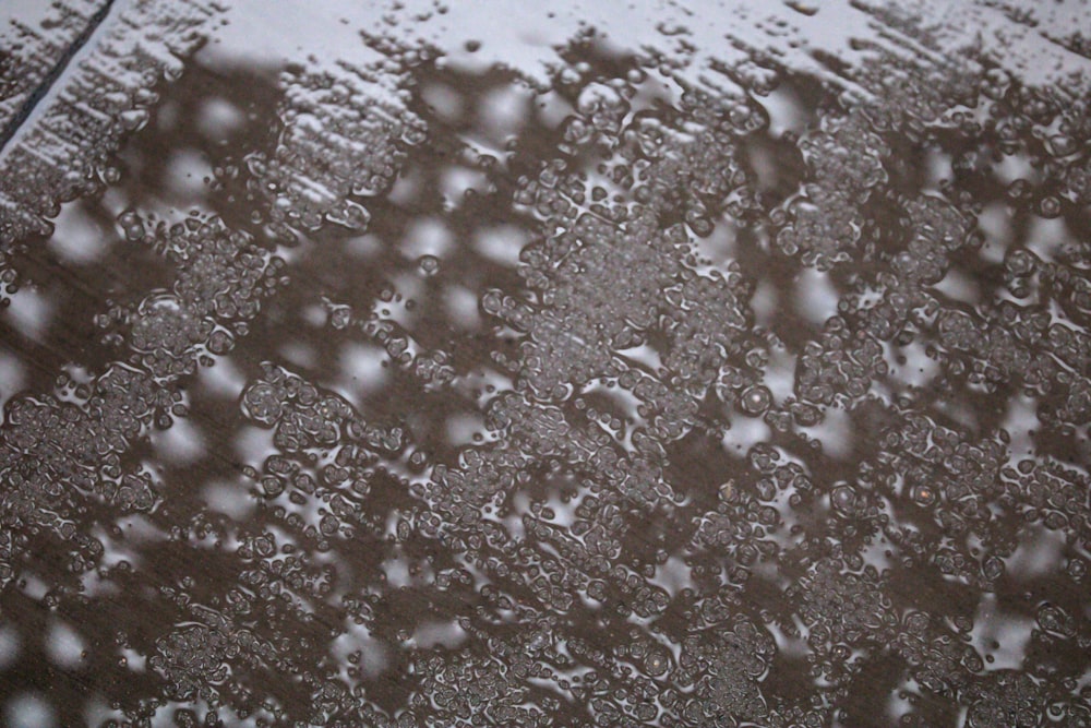 gocce di pioggia sul parabrezza di un'auto