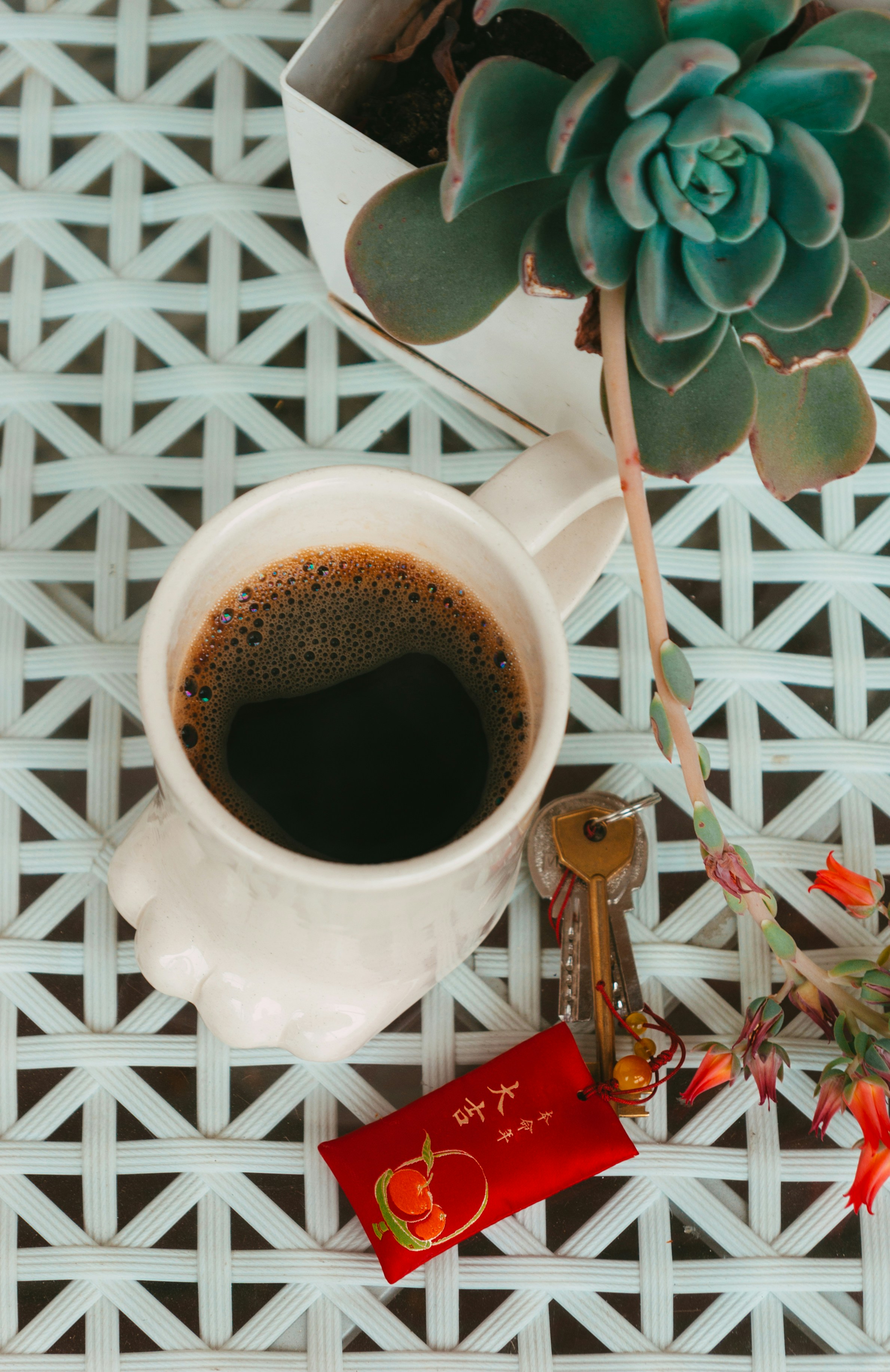 Photo by moonmoons_days