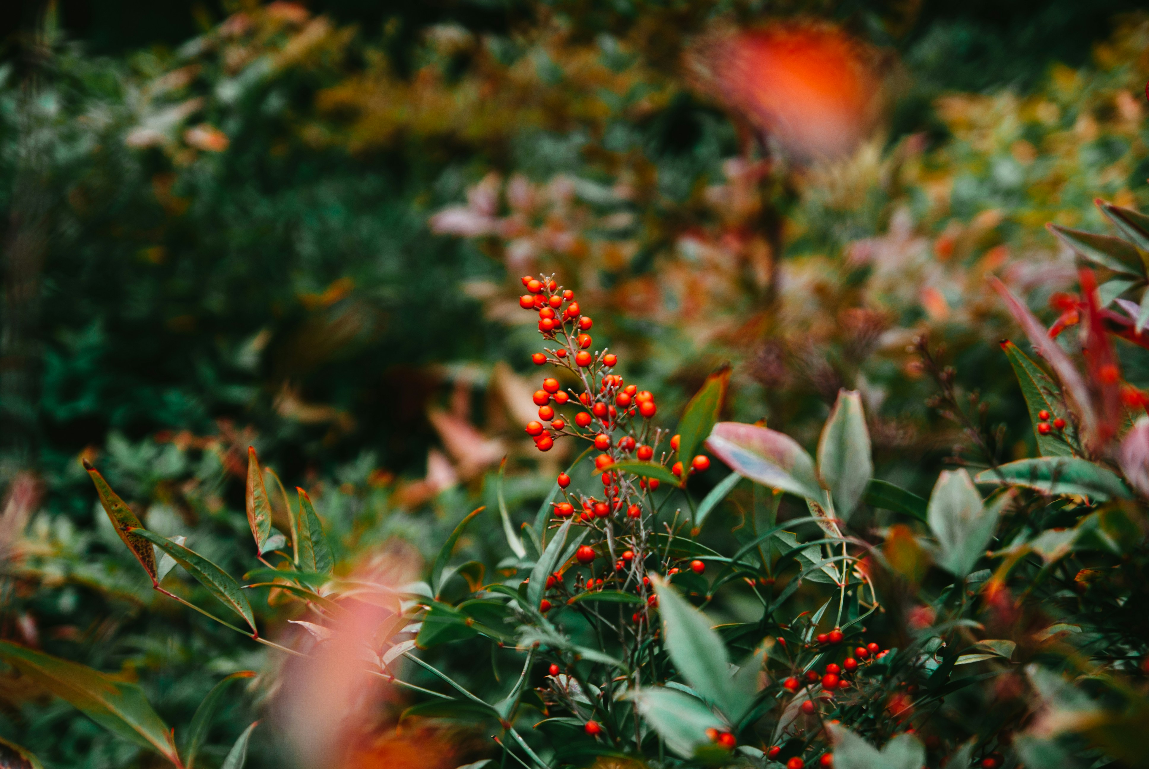 Photo by moonmoons_days