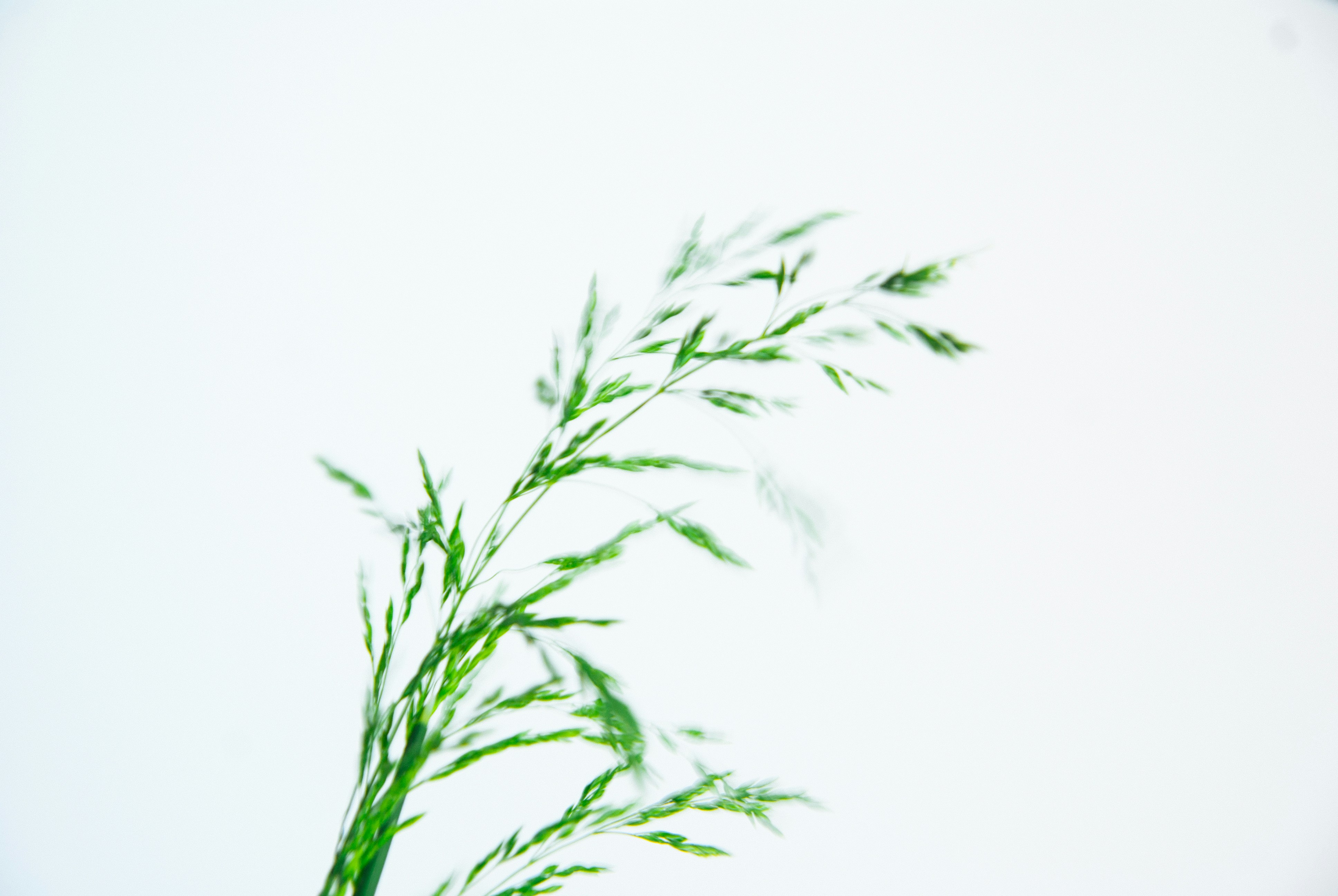 Photo by moonmoons_days