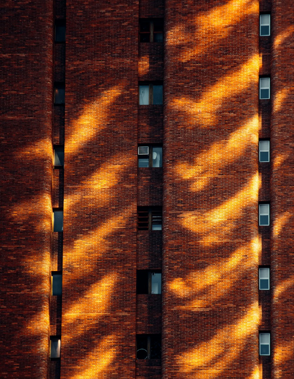 the shadows of a building are cast on the wall