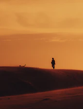 a person walking across a desert at sunset