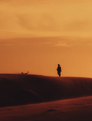 a person walking across a desert at sunset