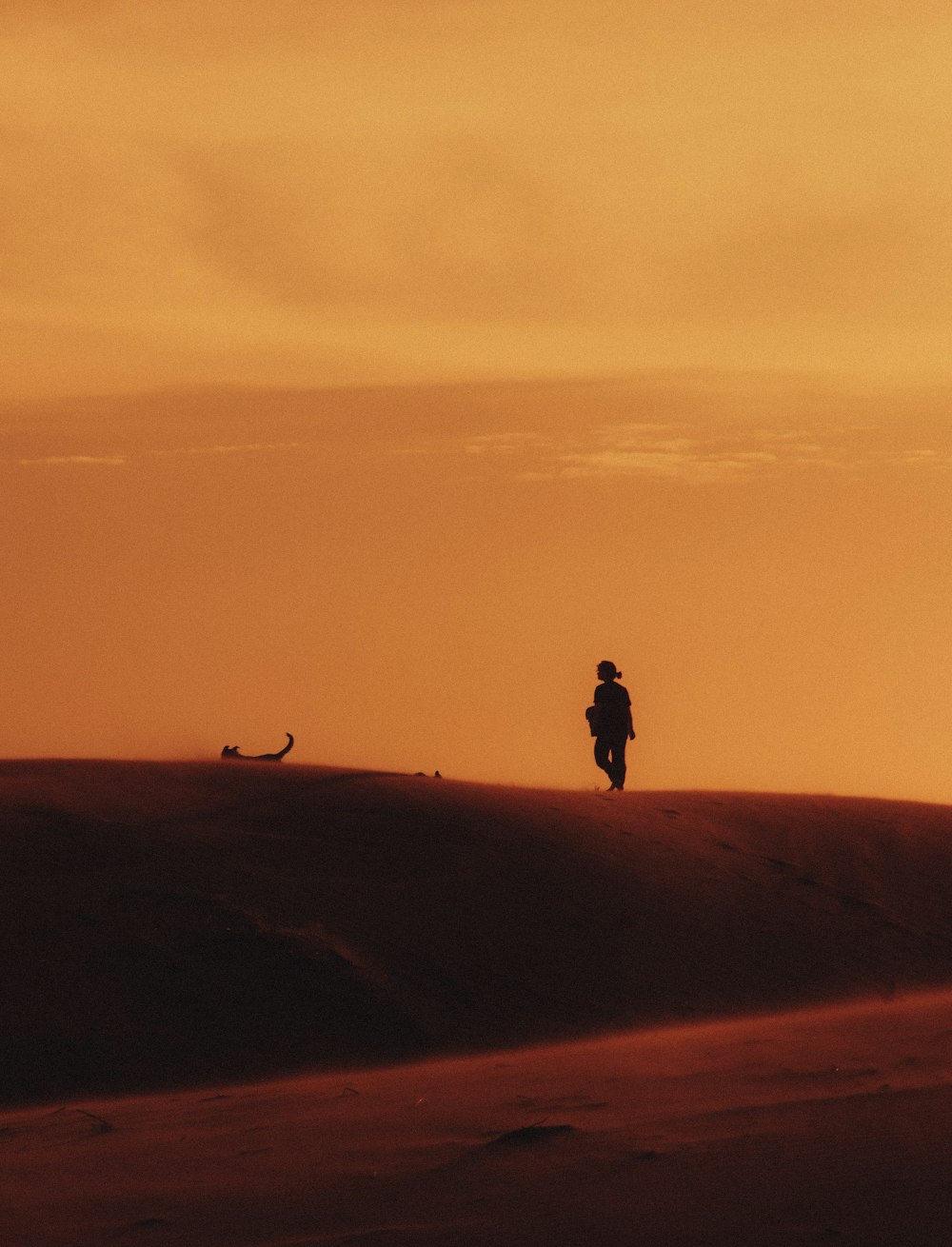 a person walking across a desert at sunset
