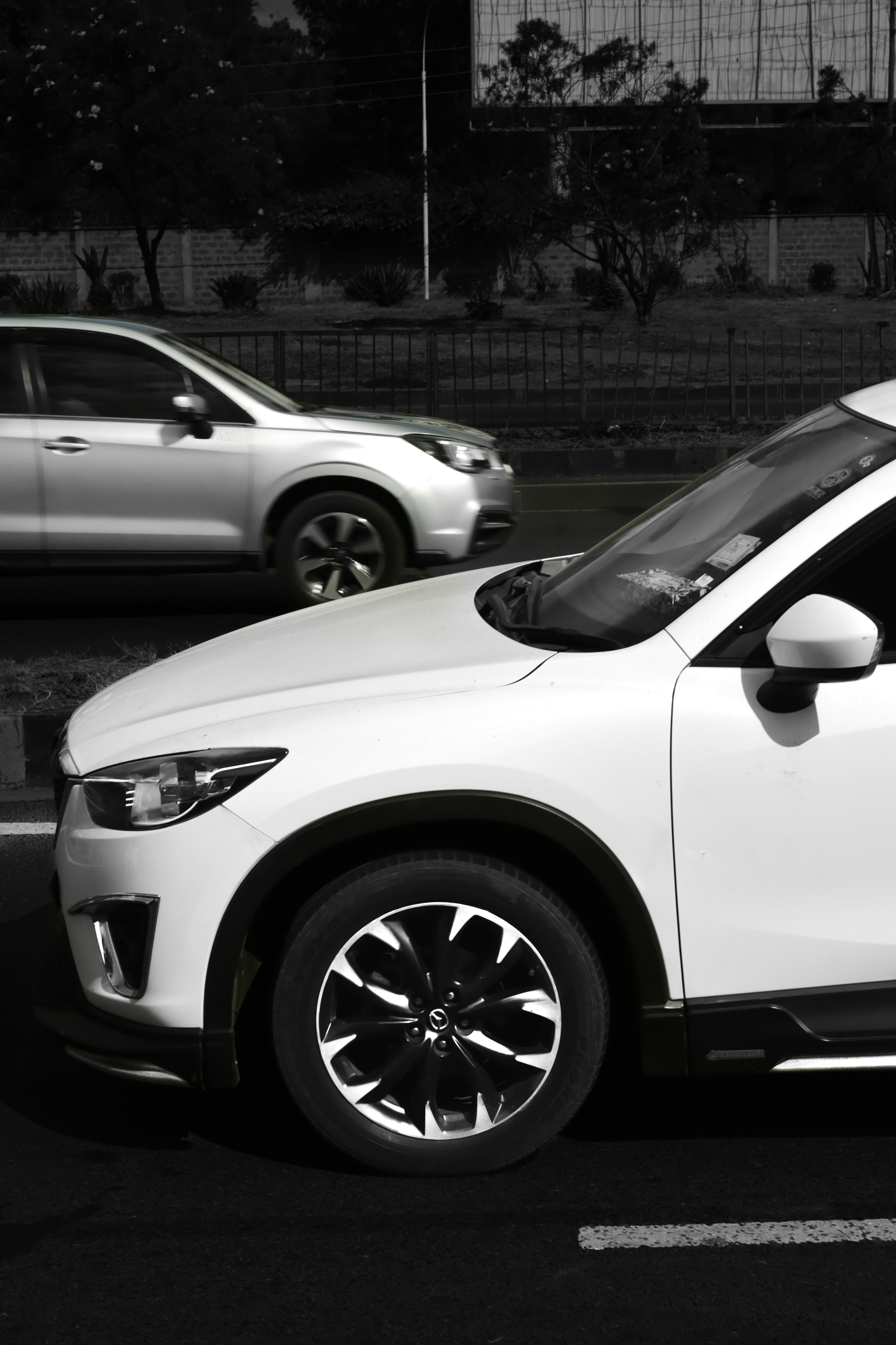 Photo by stevecameup