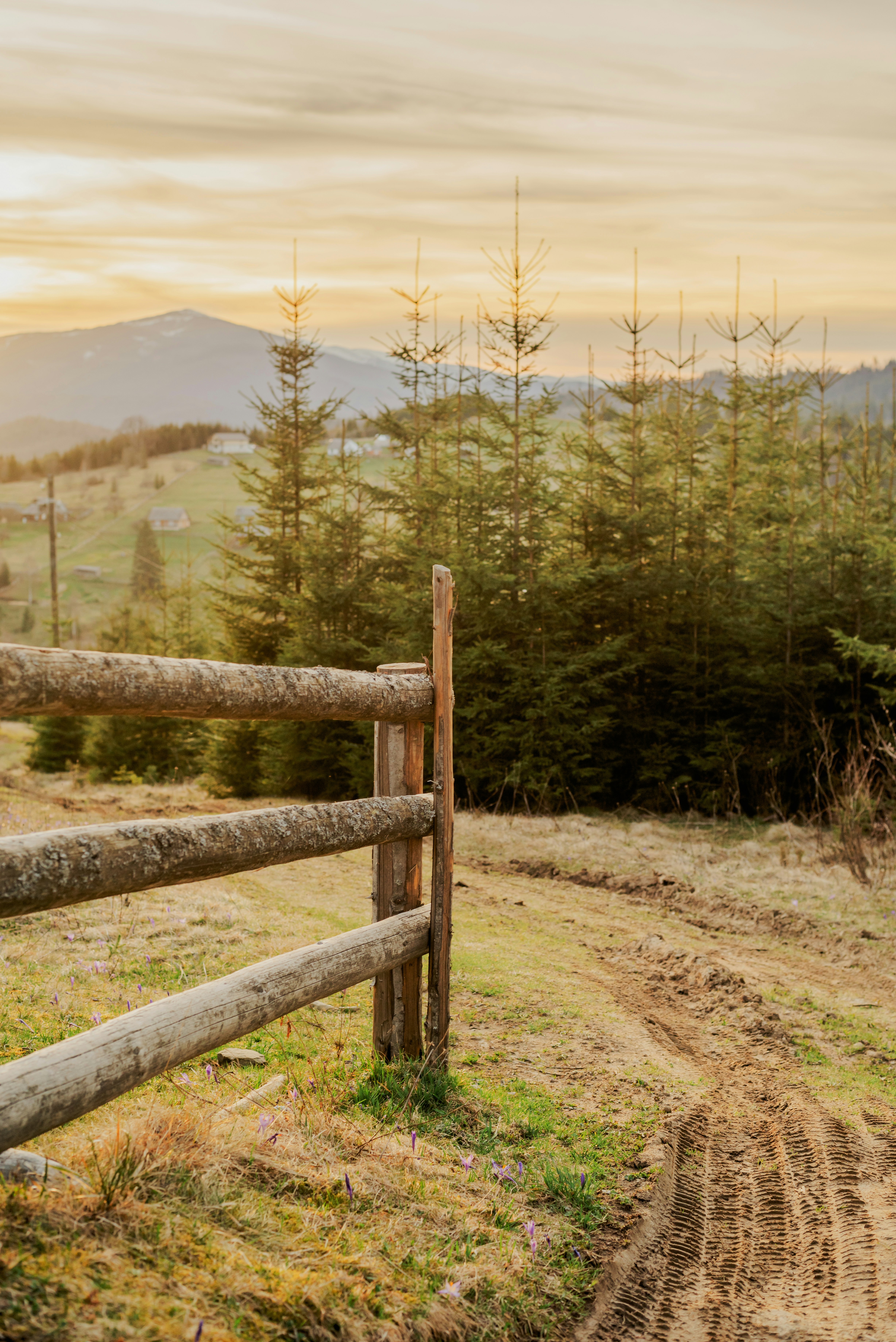 Photo by eugenivy_now