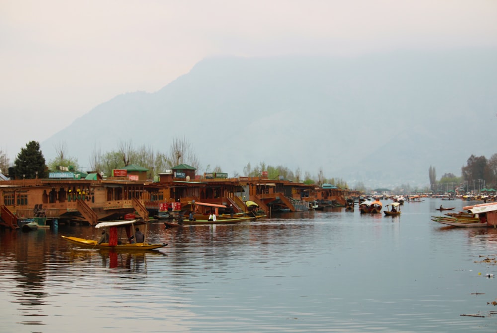 a body of water filled with lots of boats