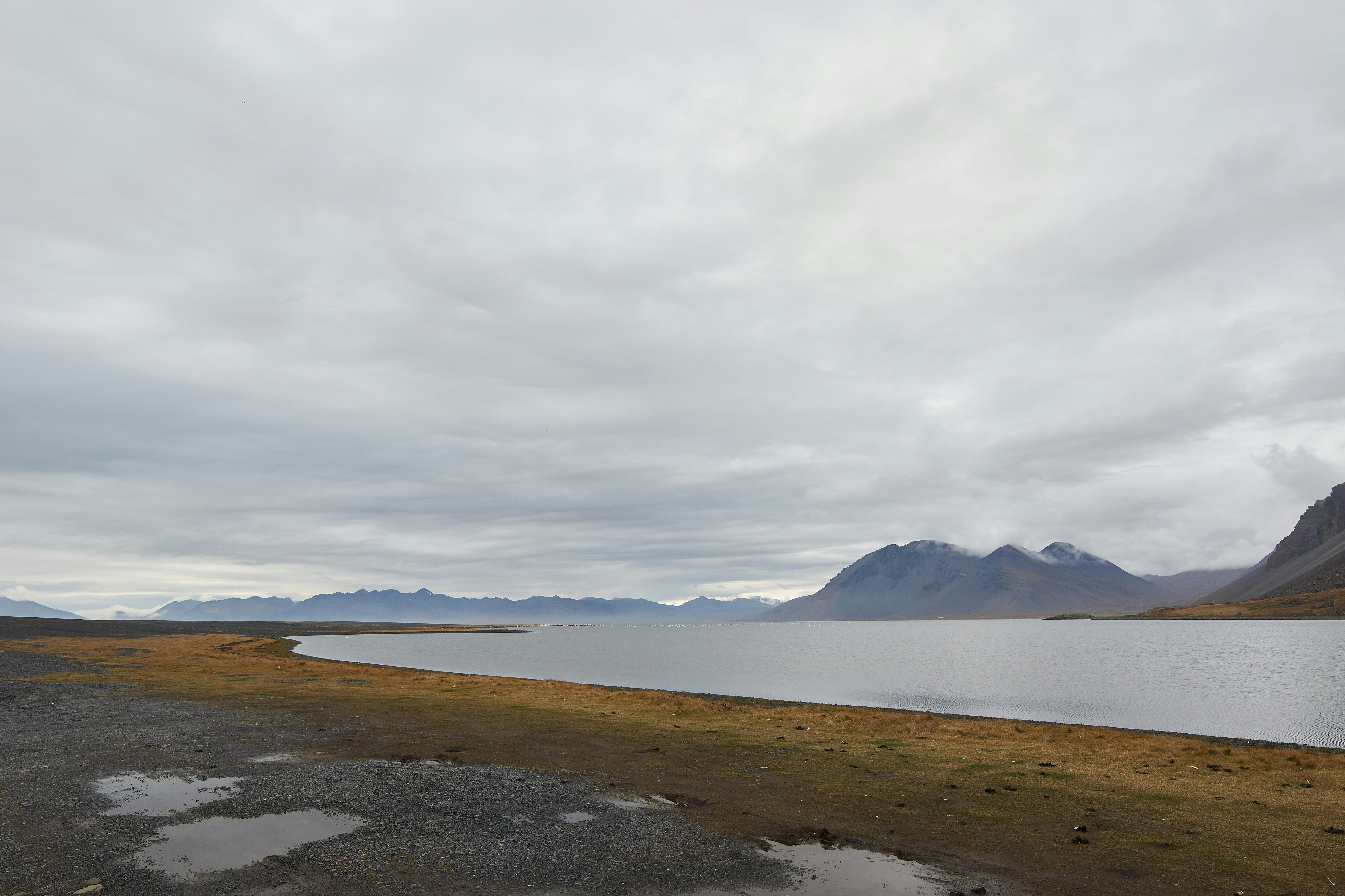 Photo by wolfgang_hasselmann