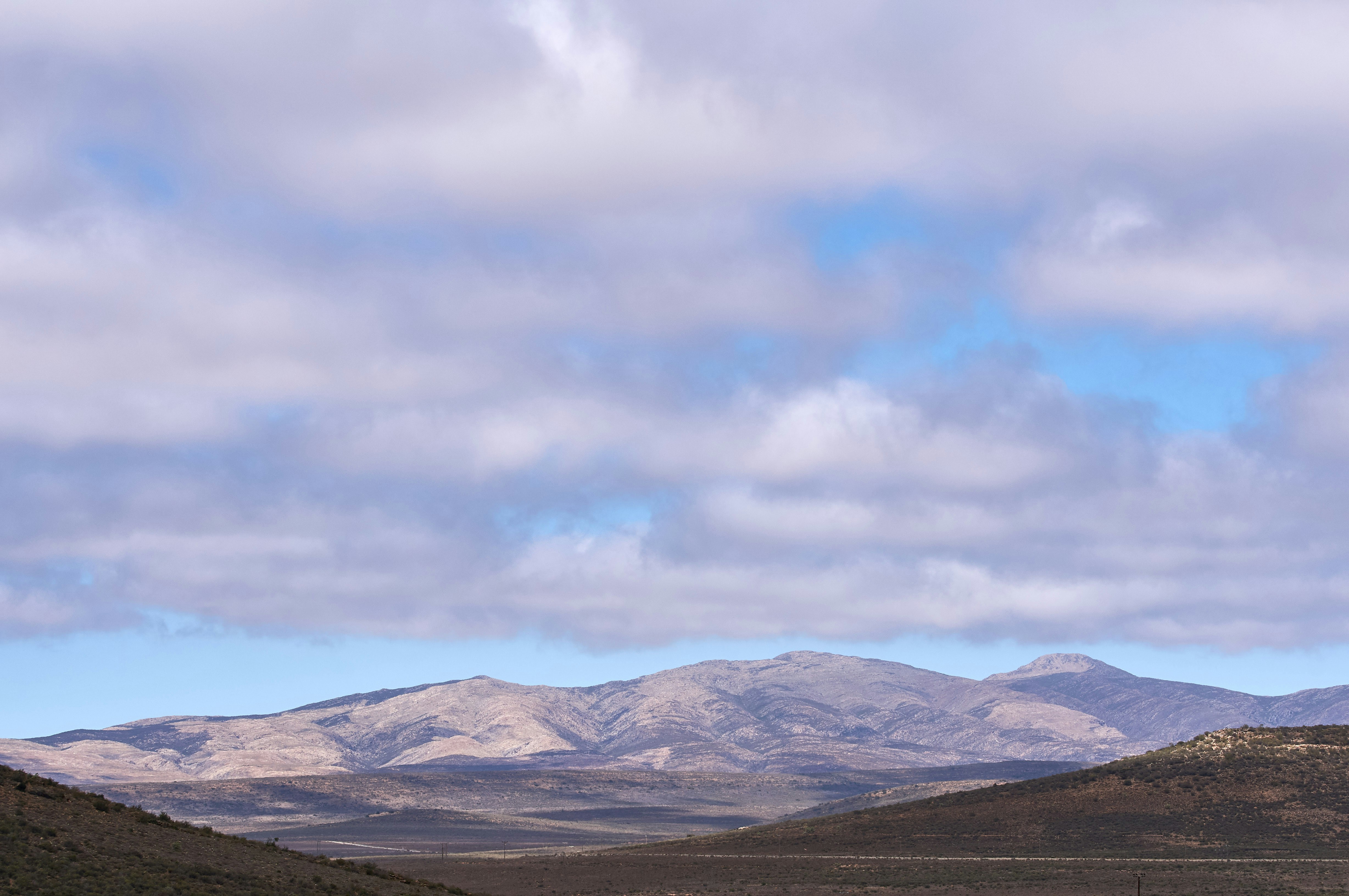 Photo by wolfgang_hasselmann