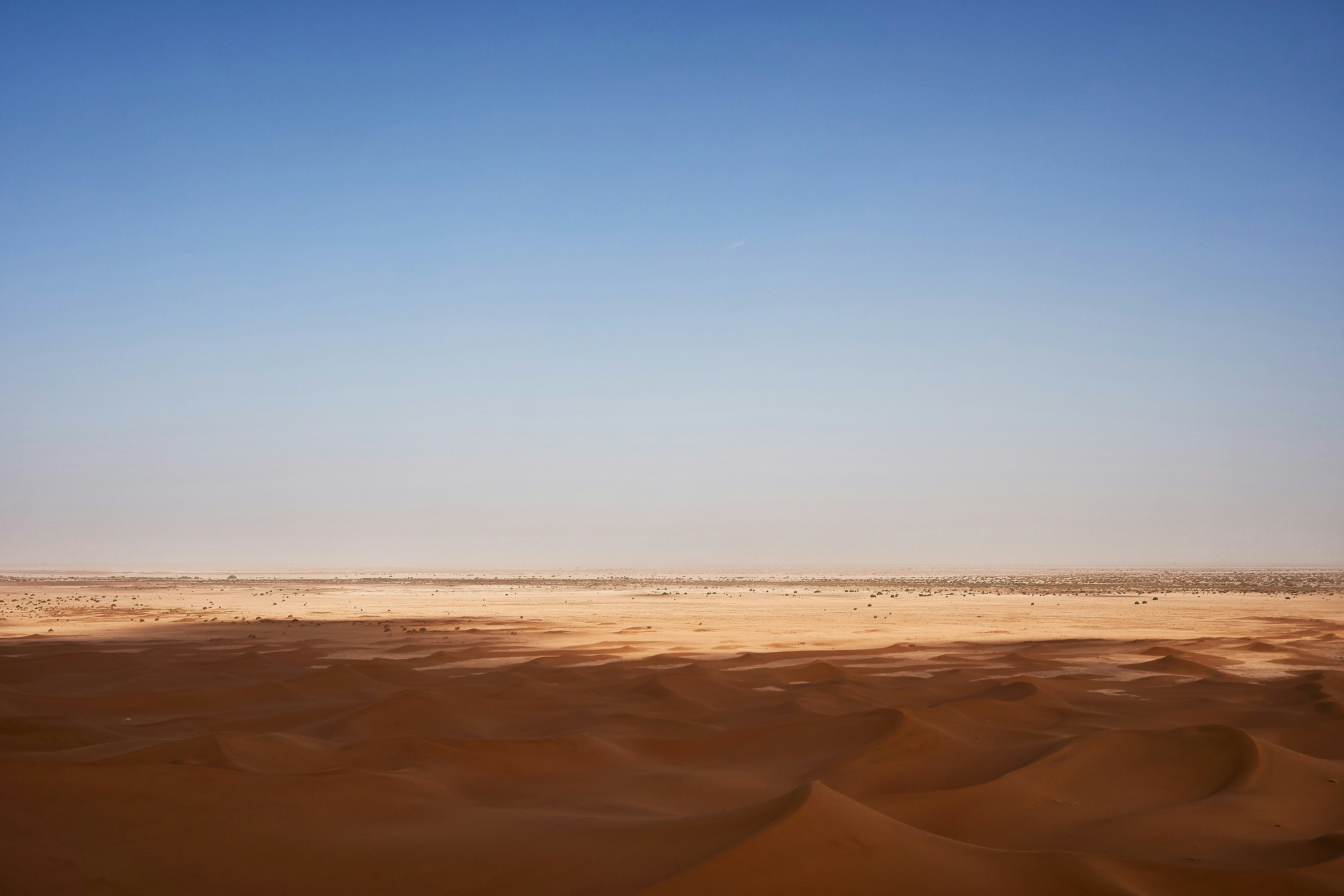 Photo by wolfgang_hasselmann