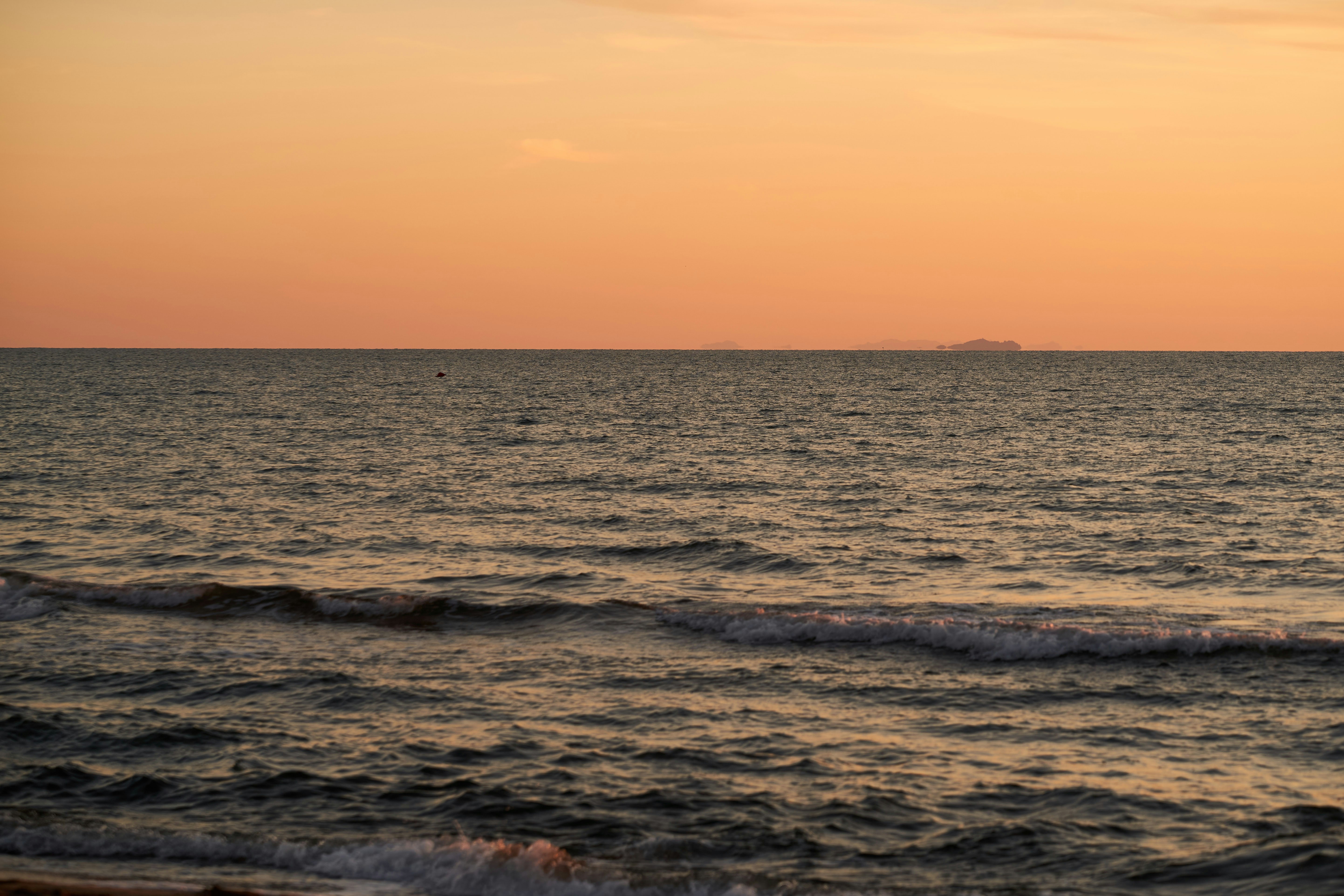 Photo by wolfgang_hasselmann